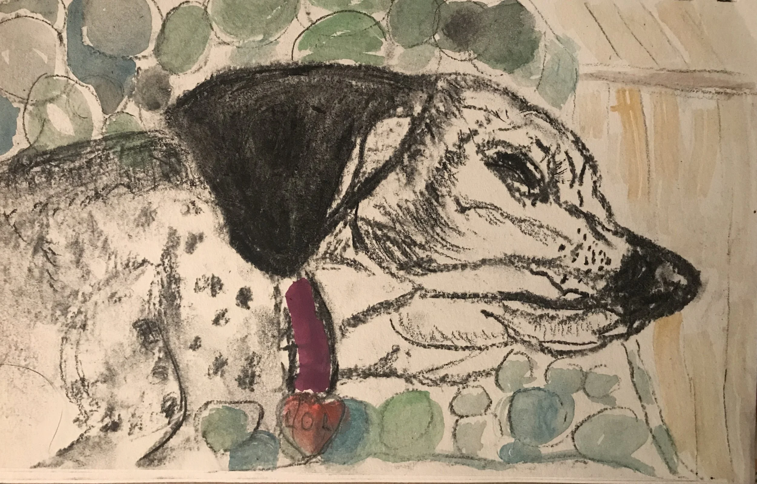 Lola. Pencil, charcoal and watercolor. 5” x 7”