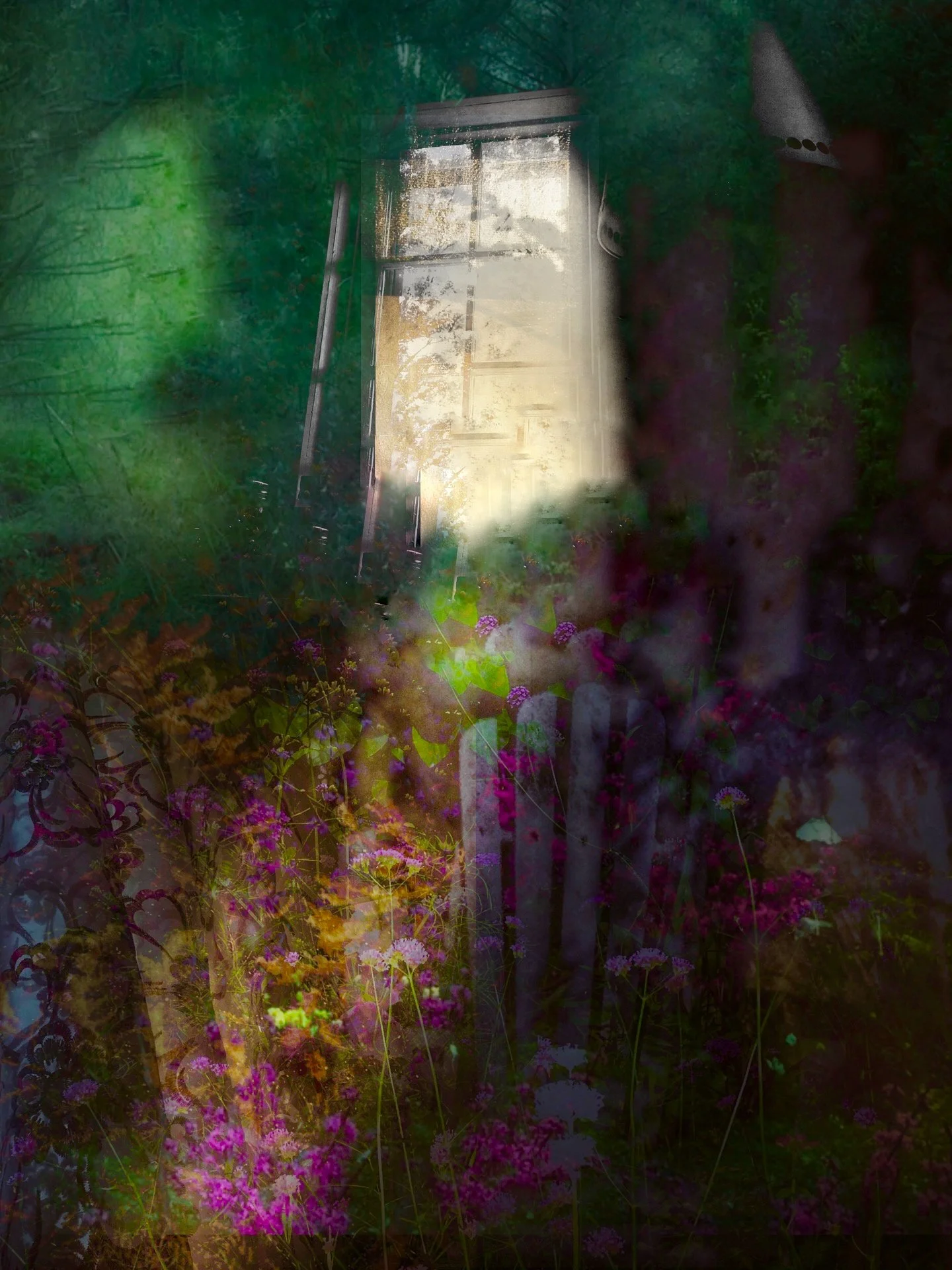 Photograph/Window of the Places