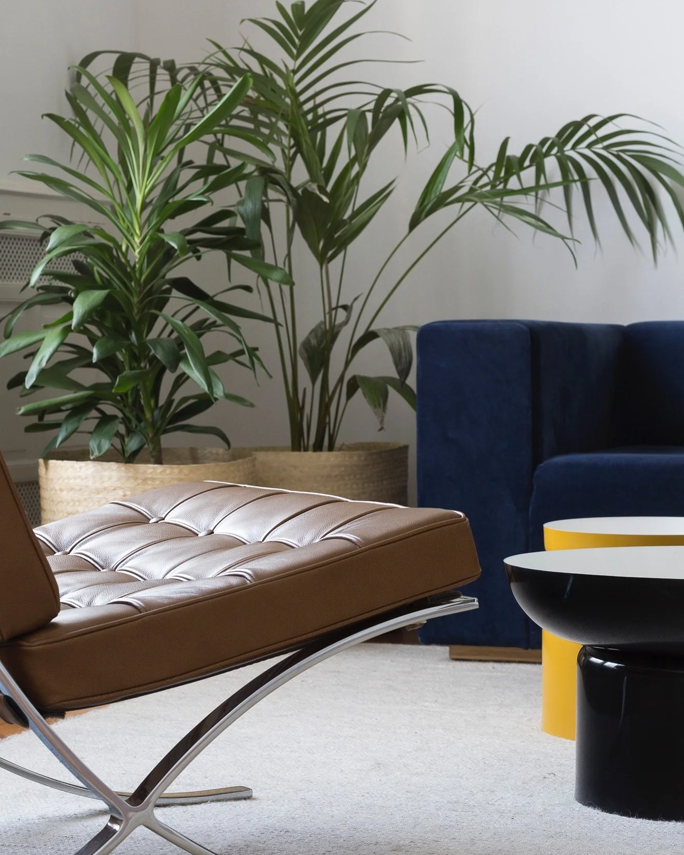 C A S T E X  O F F I C E  D E T A I L S

Project partner @claraajarvis 
Pictures @javieragustinrojas