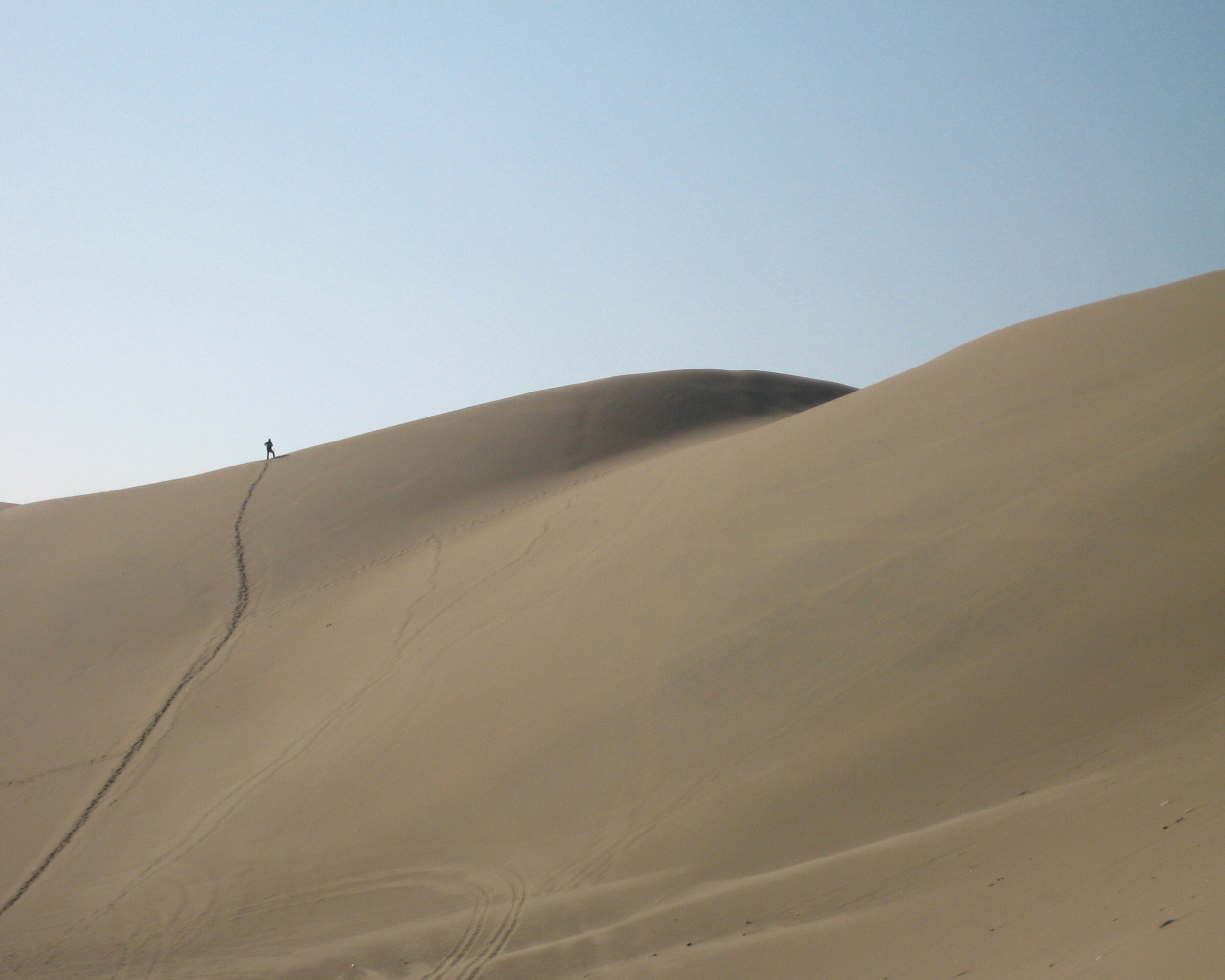 Peruvian Dune.jpg