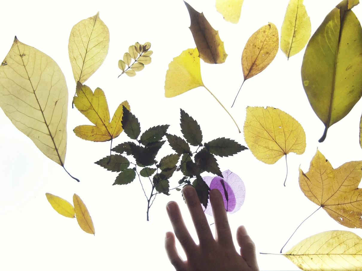 Première journée d'automne