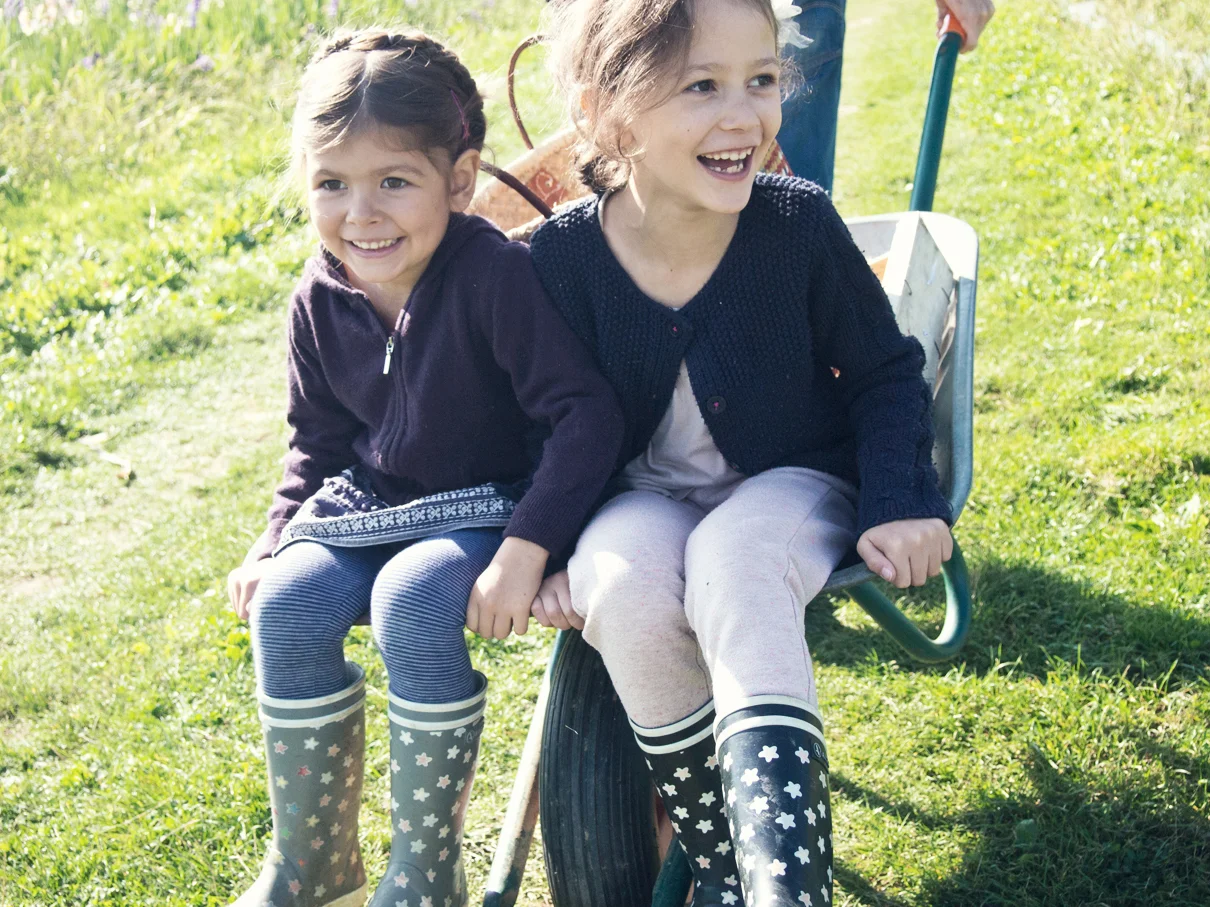 Fruits et légumes de saison