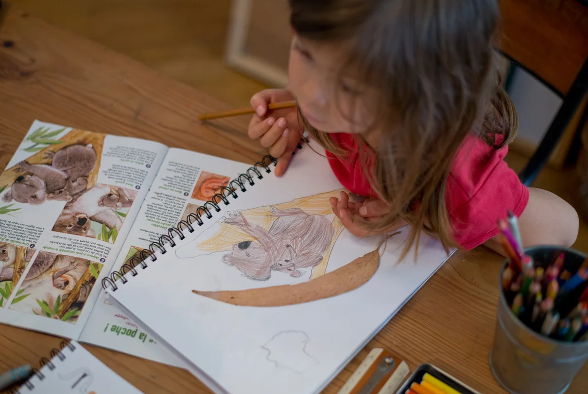 L&#x27;importance du dessin chez nous