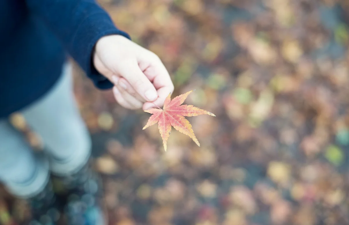 En novembre, il y a eu...
