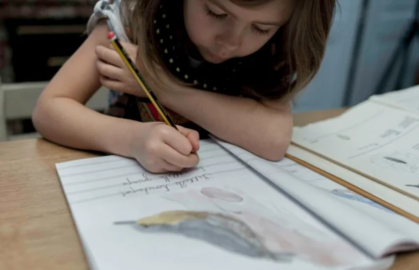 Notre matériel pour 2016