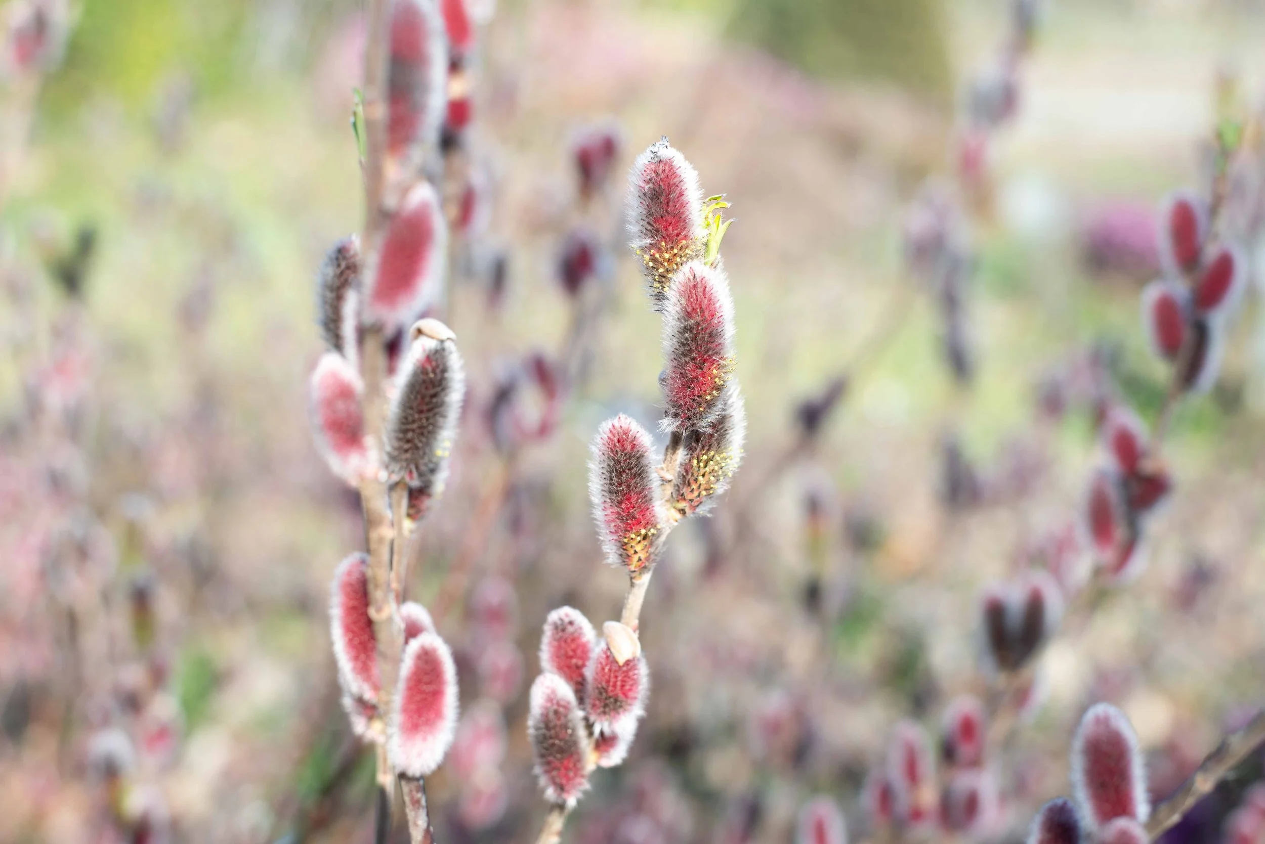 N°106 – Changement de cap