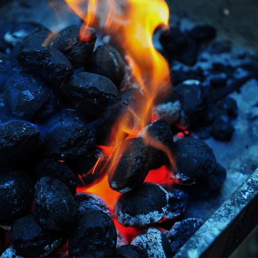 Save charcoal for the barbecue!