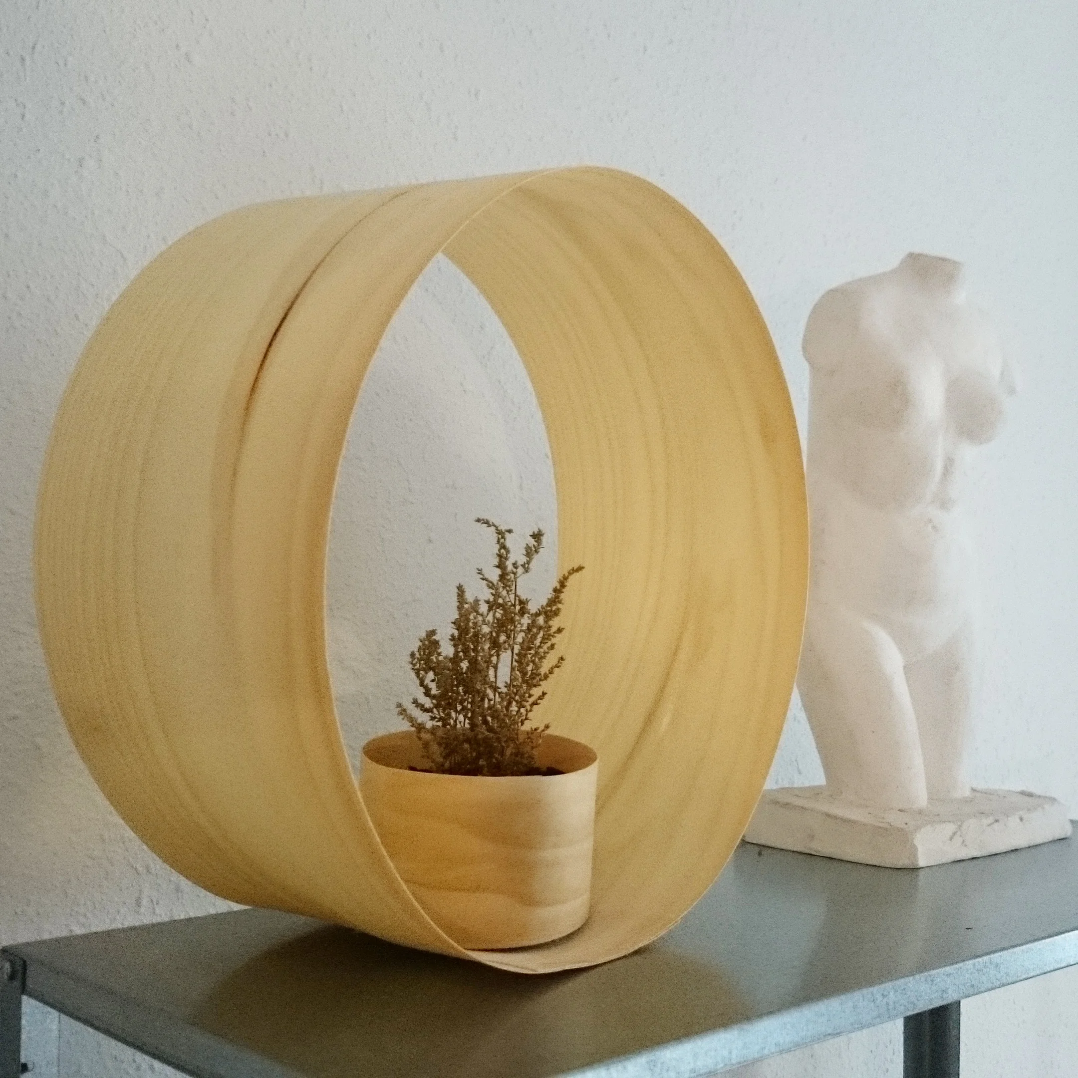 Oh plants_best.jpg