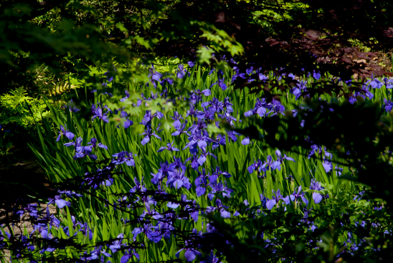 1505__0052.jpg