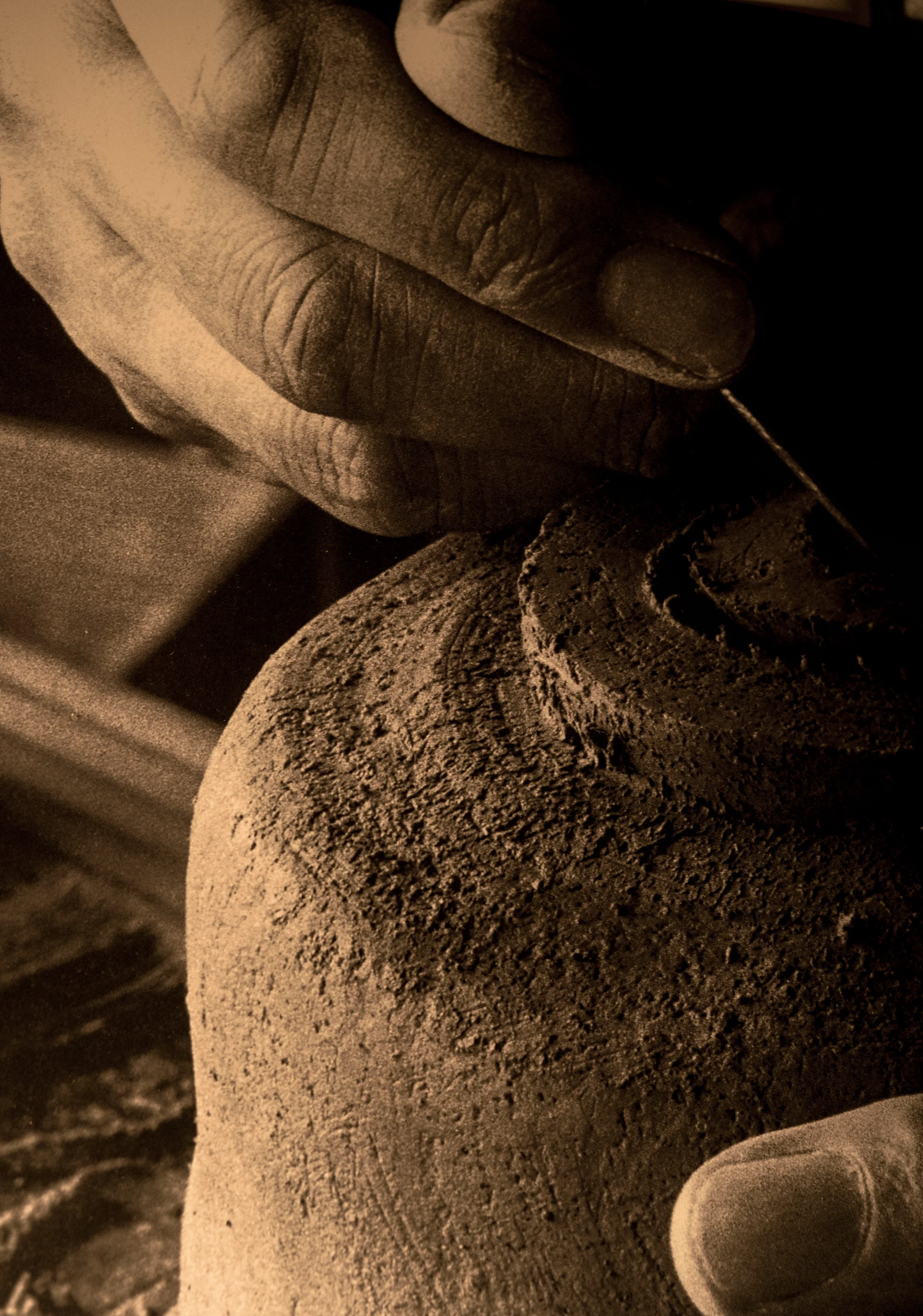 IMAGE from the exhibition catalogue