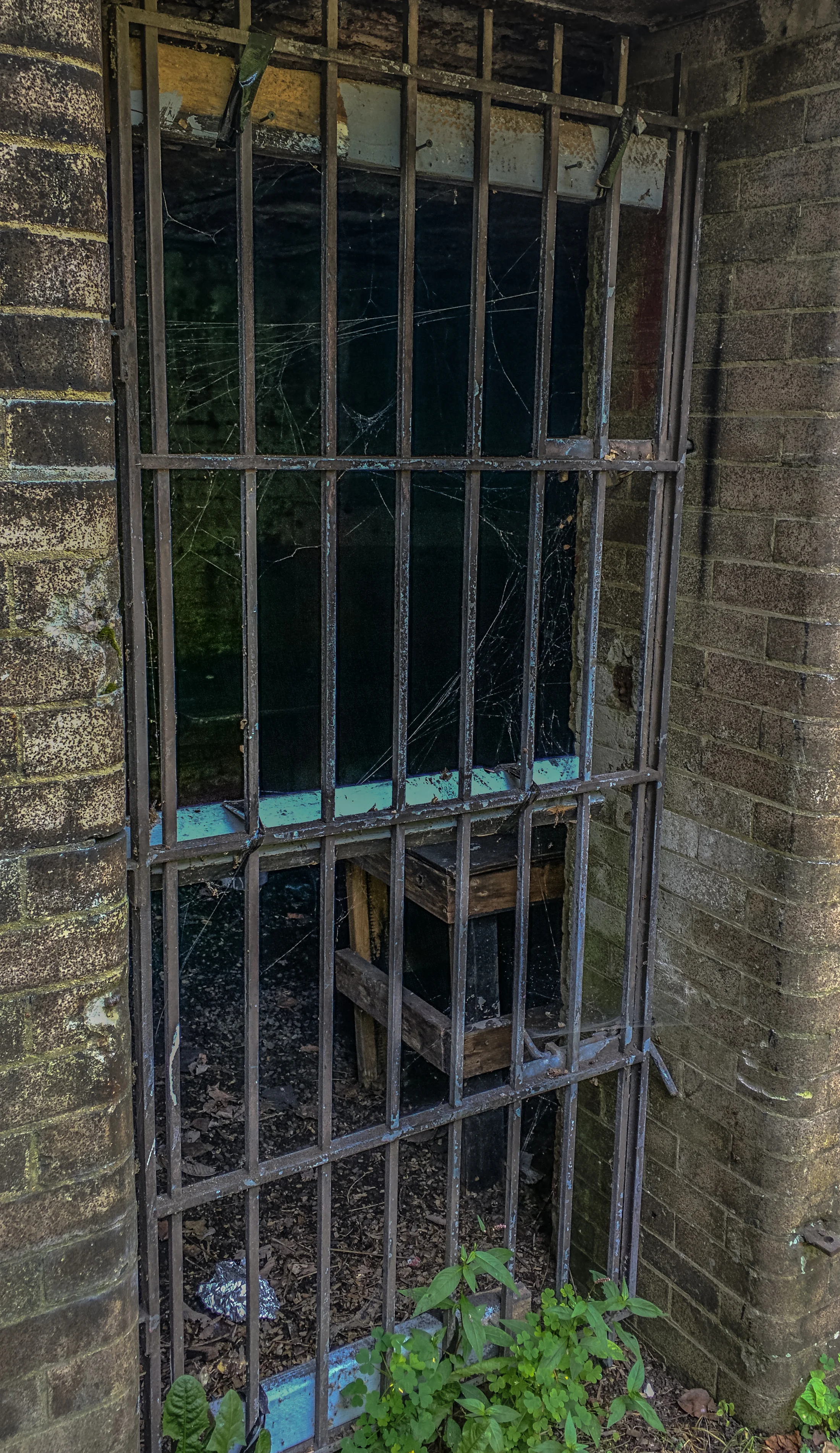 20150725-IMG_20150725_114706-FtHoward.jpg