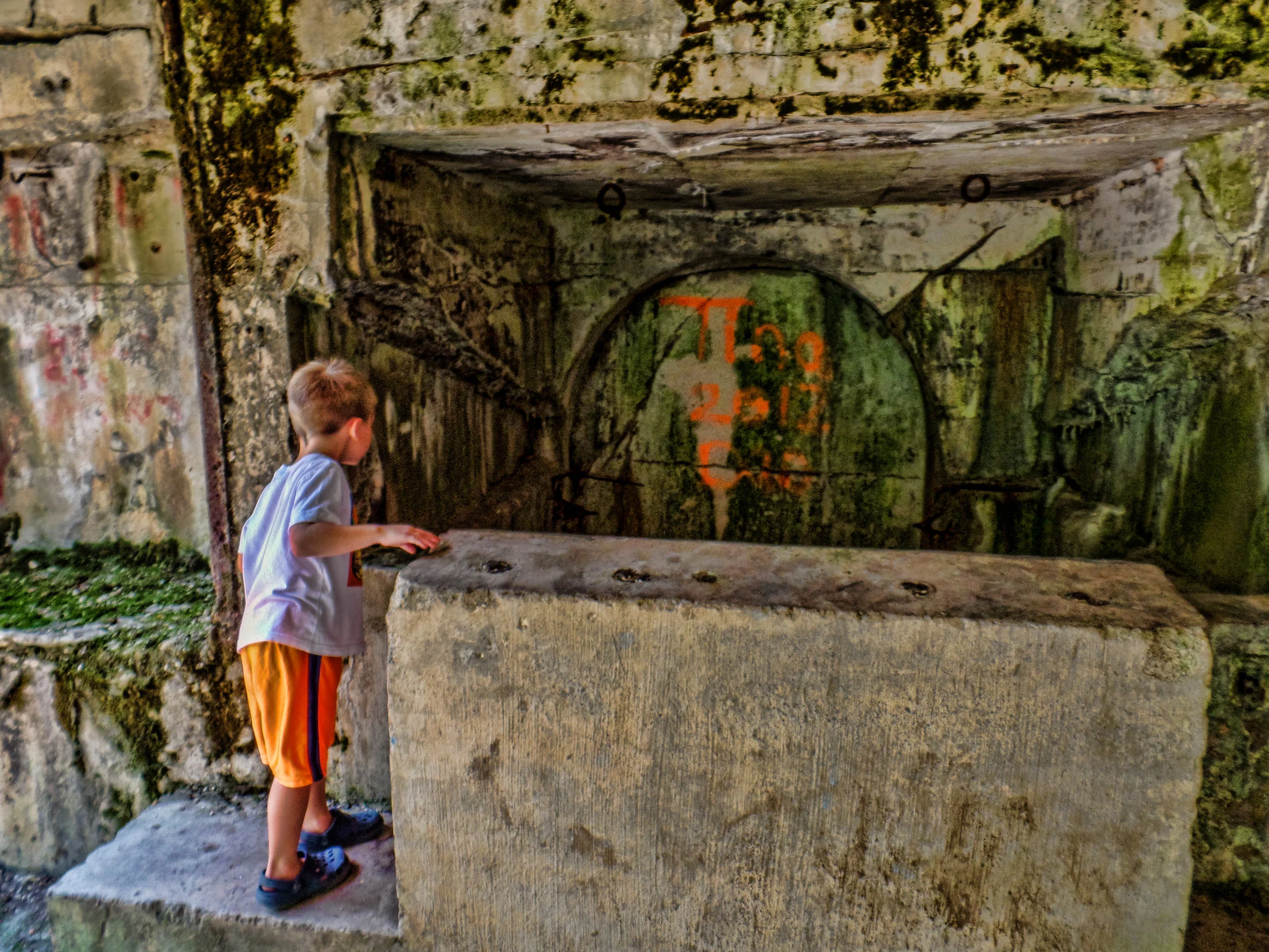 20150725-SAM_1207-FtHoward-Edit.jpg