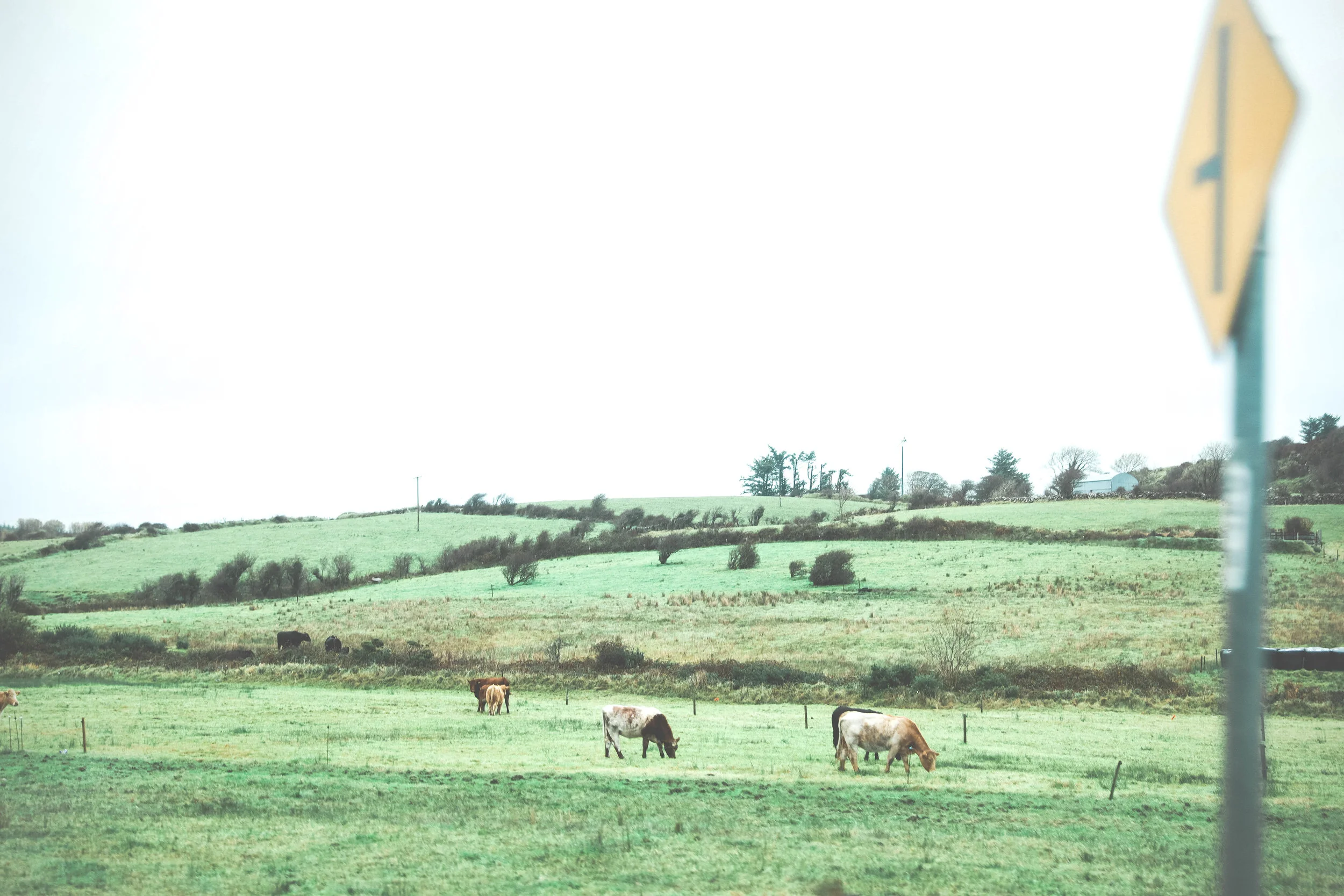 2S0A2816.jpg