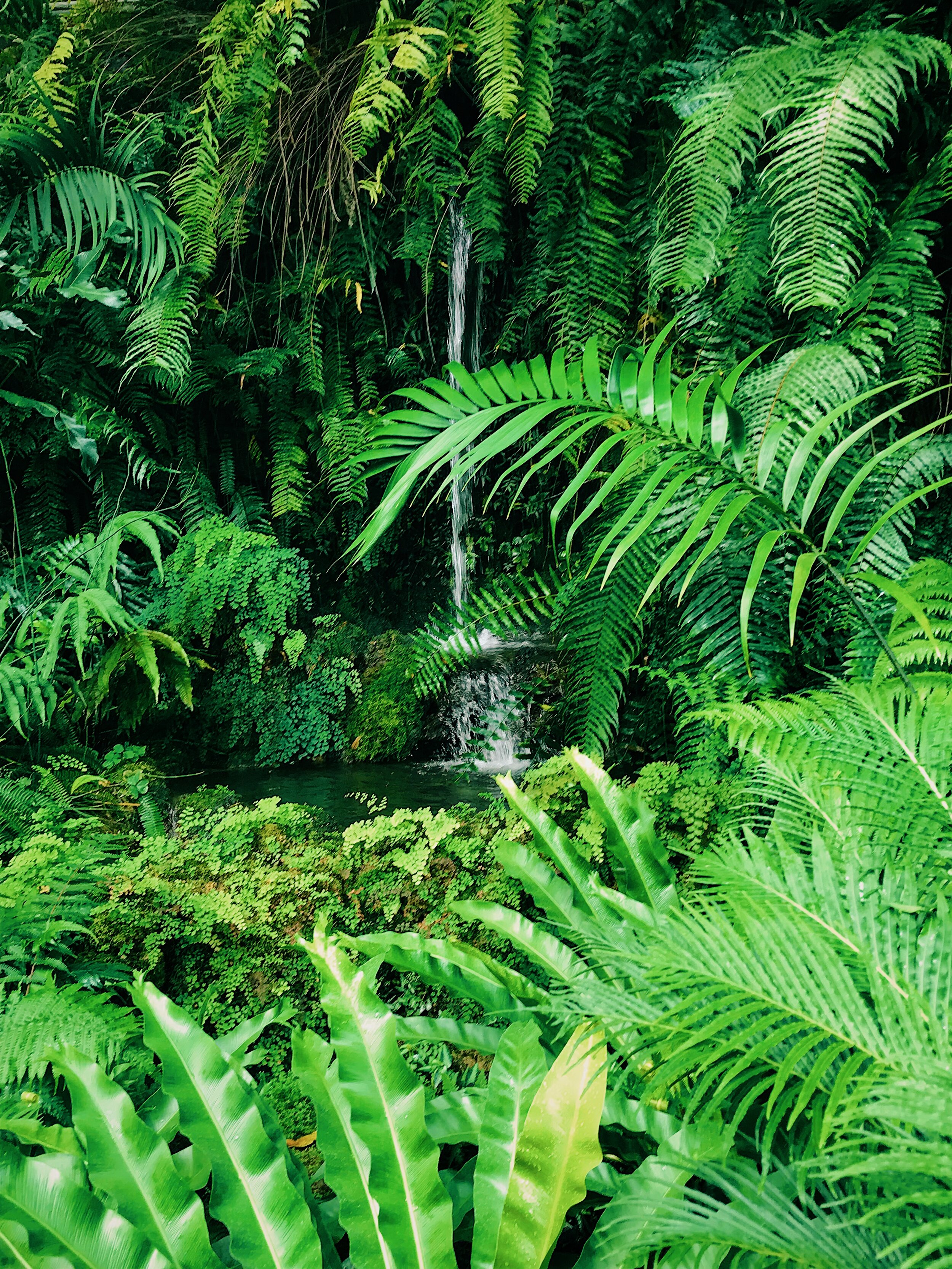 Garfield Park Conservatory. 2019.