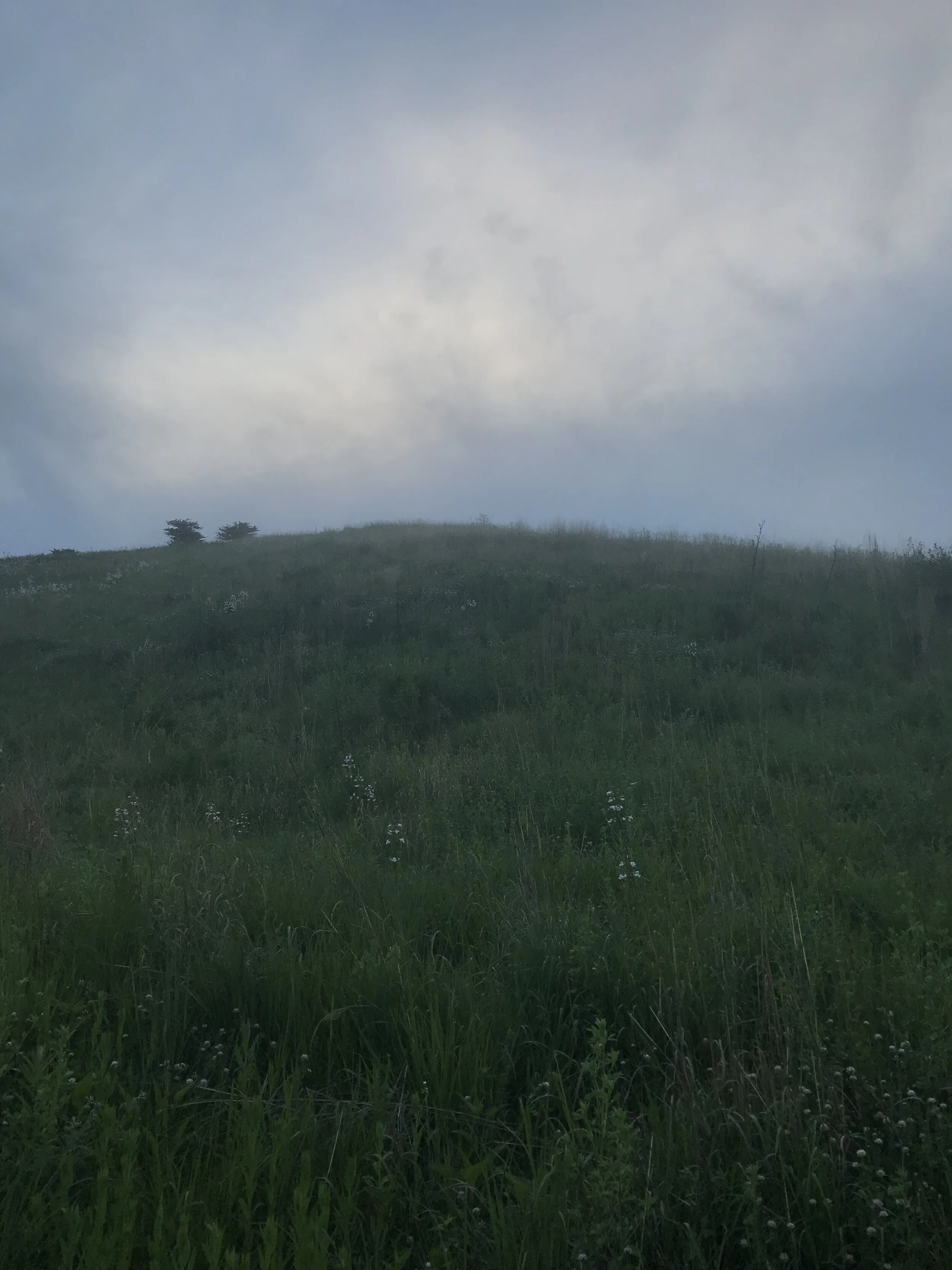 Concordia University. July 2019.