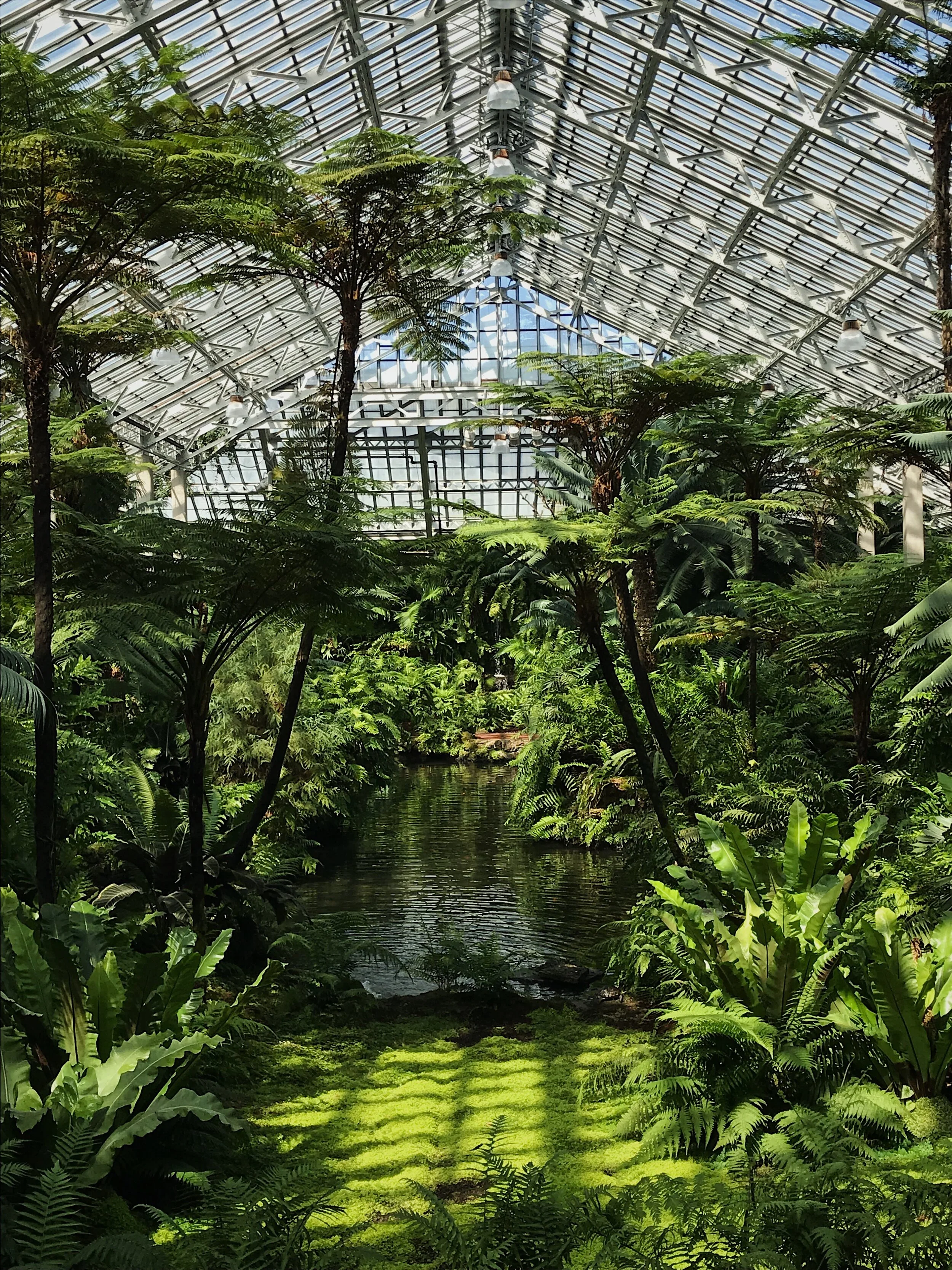 Garfield Park Conservatory, 2019.
