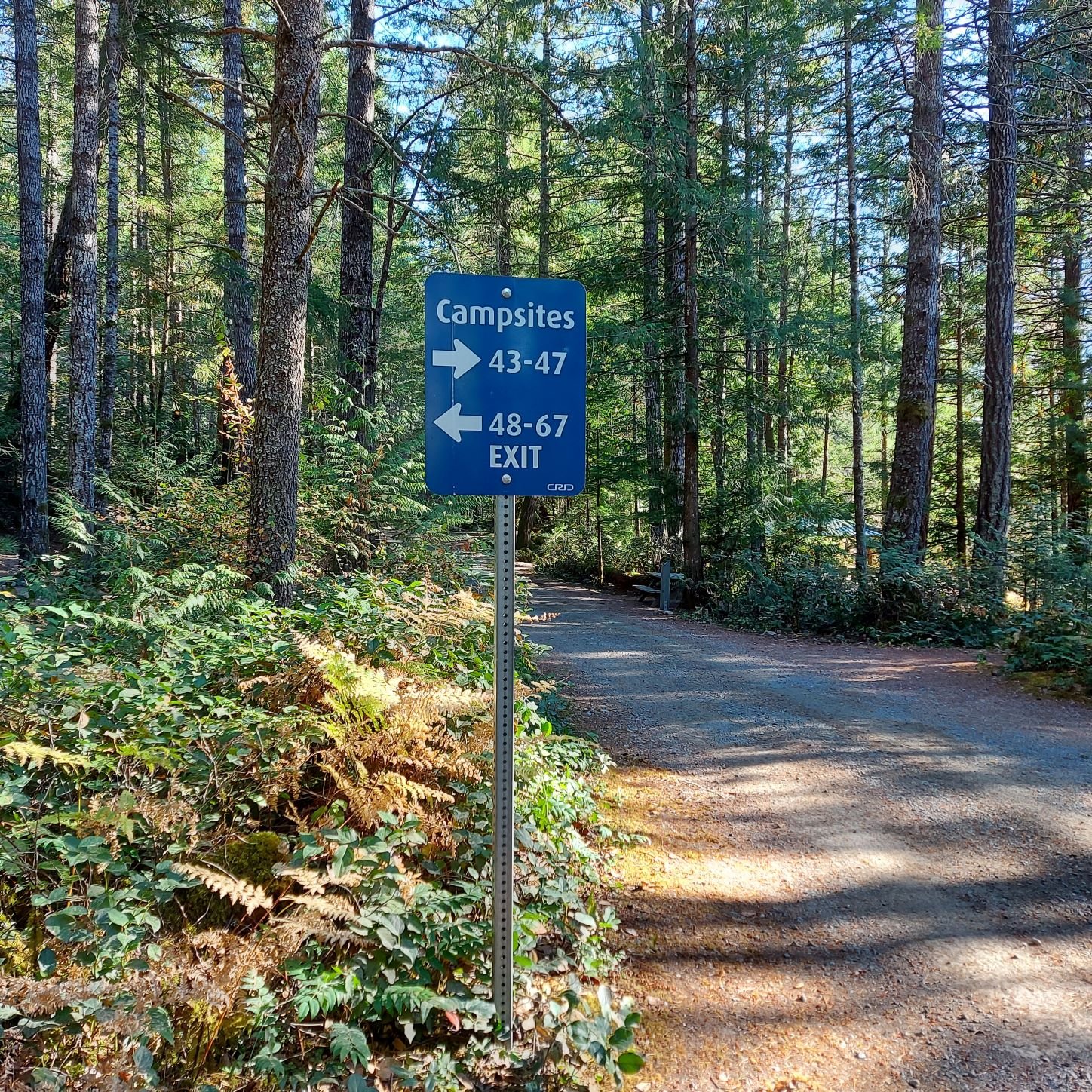 2022 STARR Predict your time 8.6k campground, follow exit 1 rs.jpg