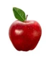 apple.jpeg
