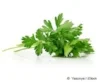 parsley.jpeg