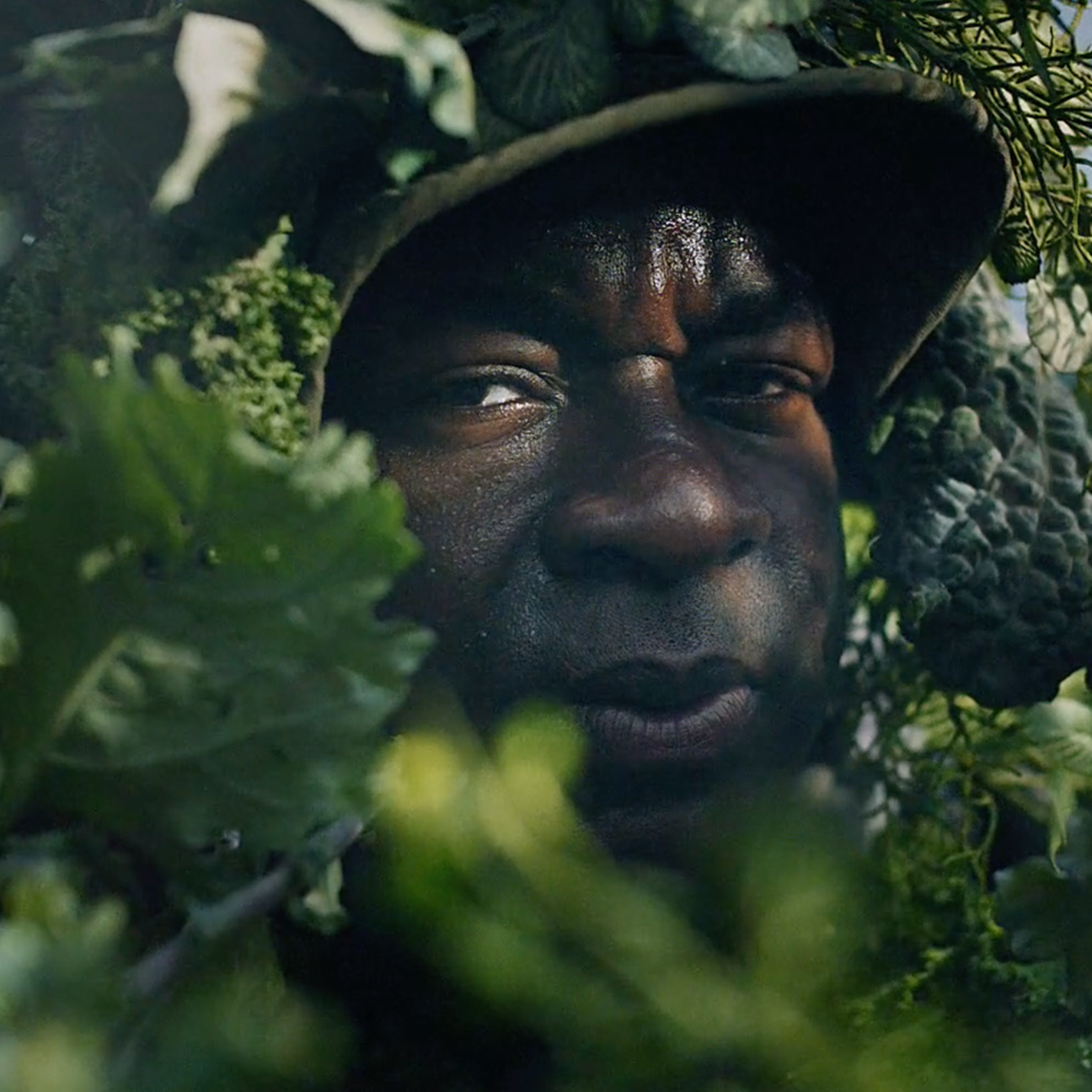 Screen Shot 2017-11-07 at 11.37.00 AM.png