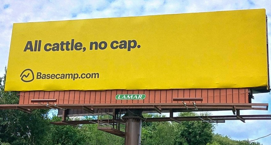 Basecamp All cattle.jpg