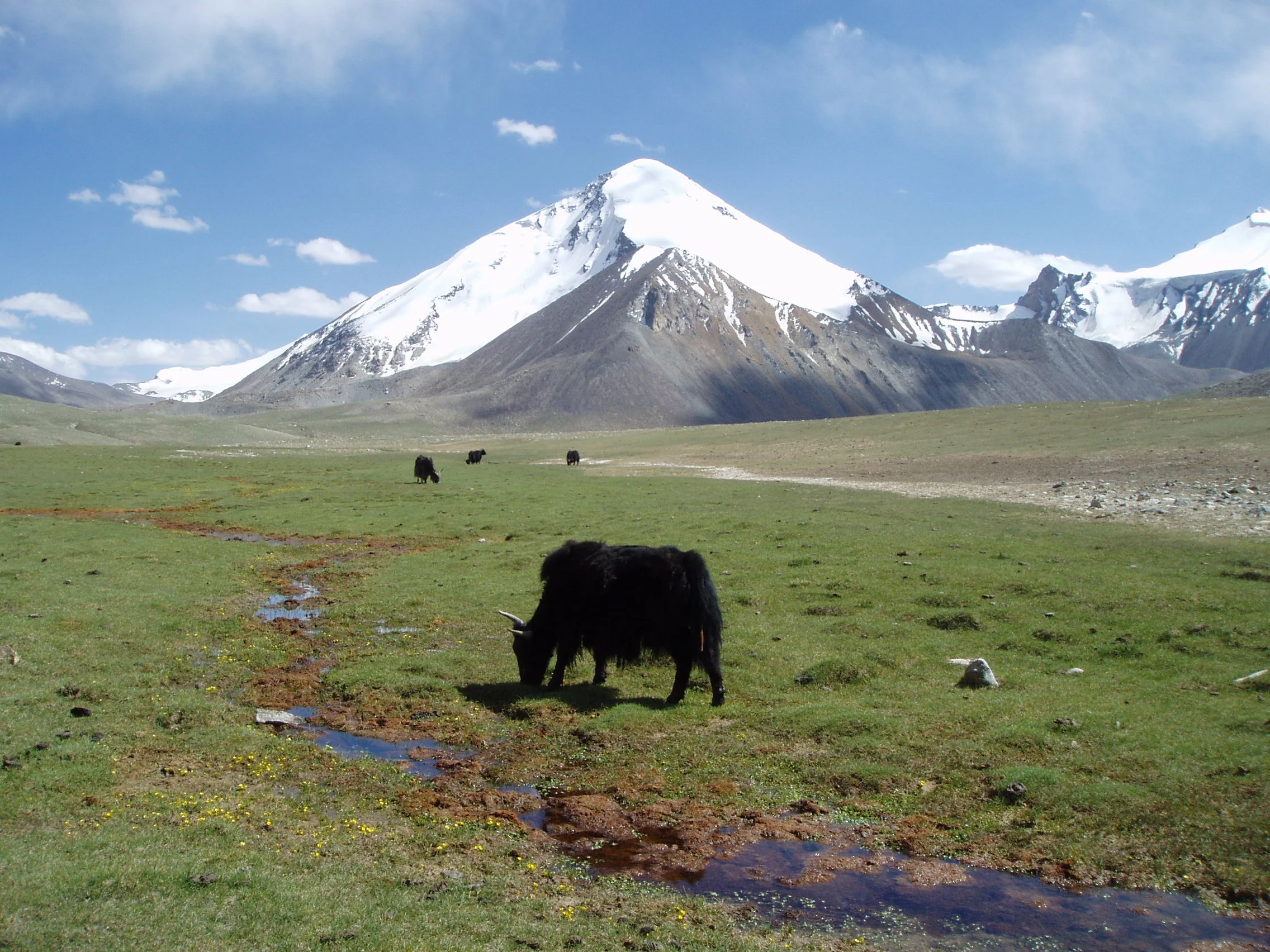 Tibet_4.JPG