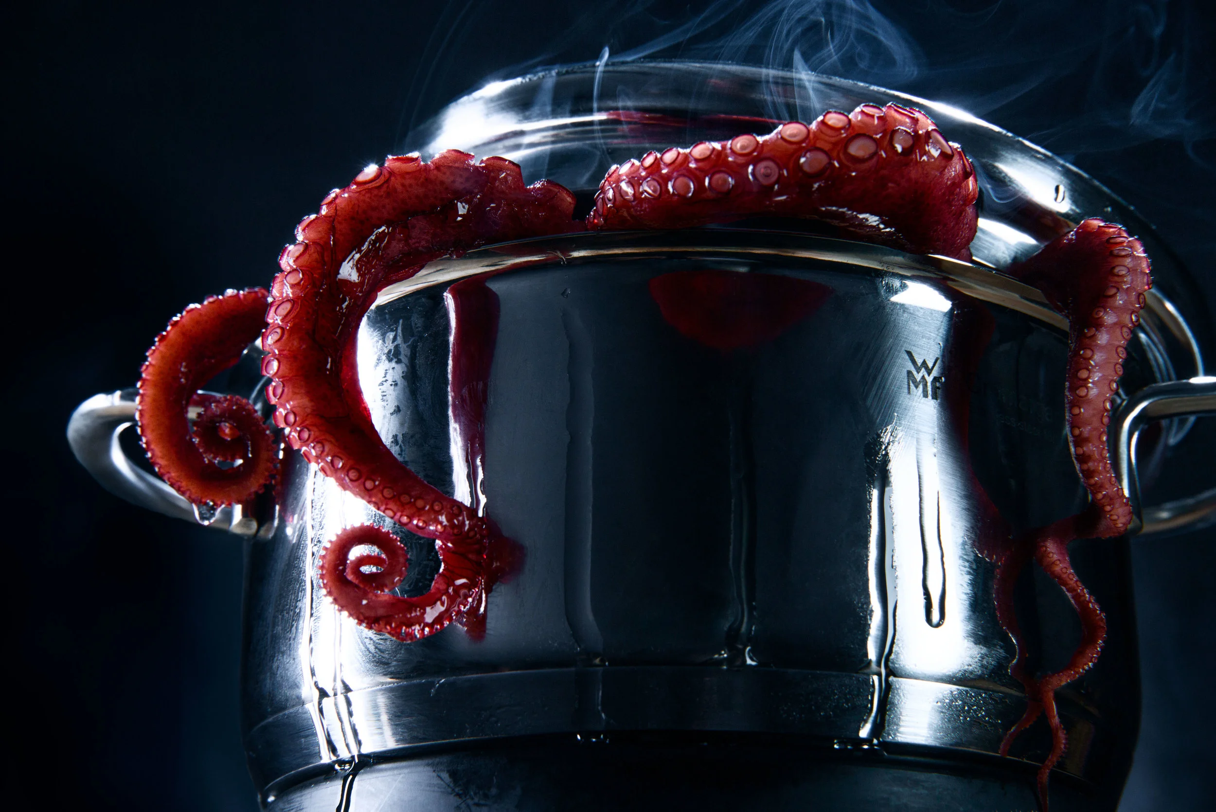 Octopus.jpg
