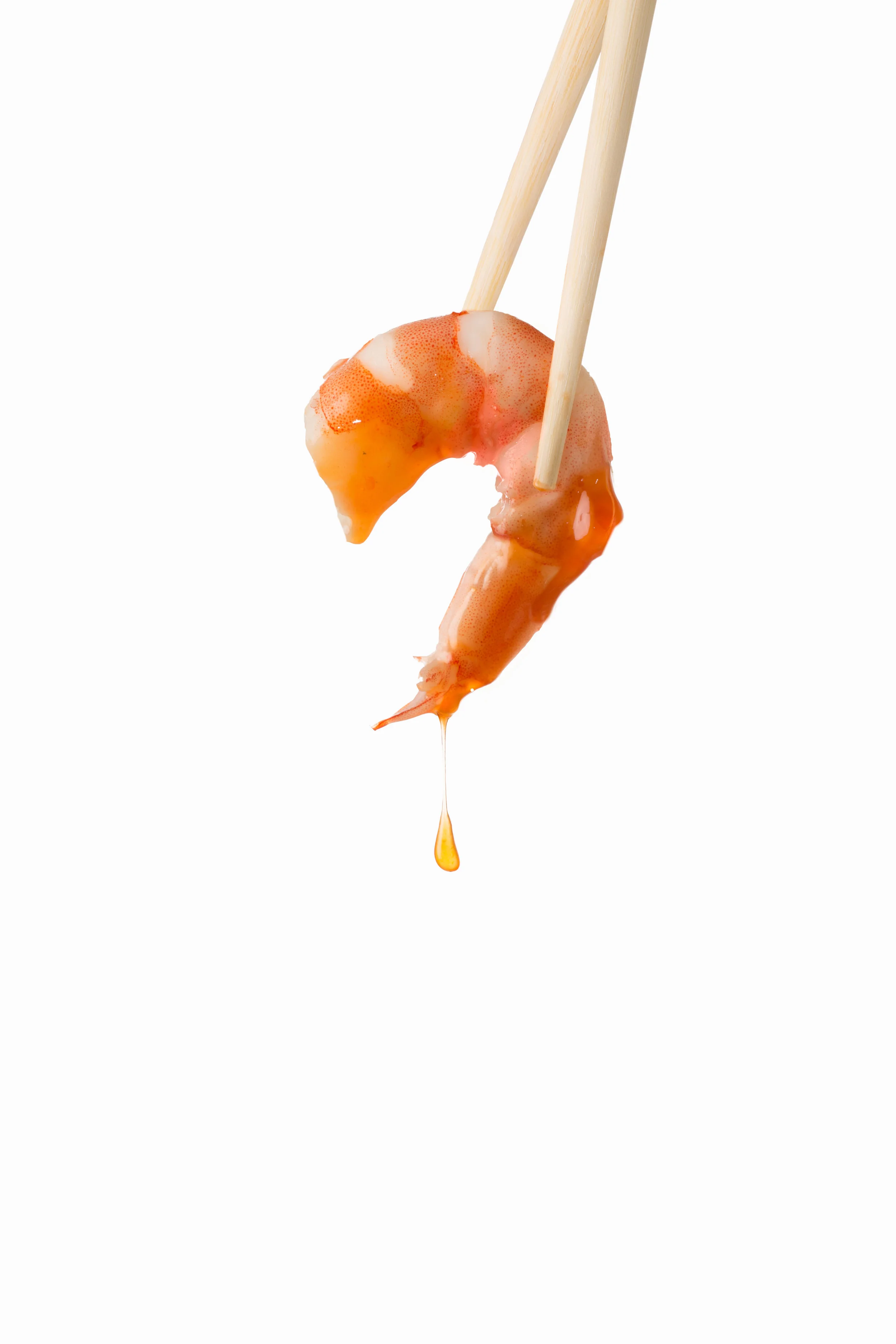 Prawn.jpg