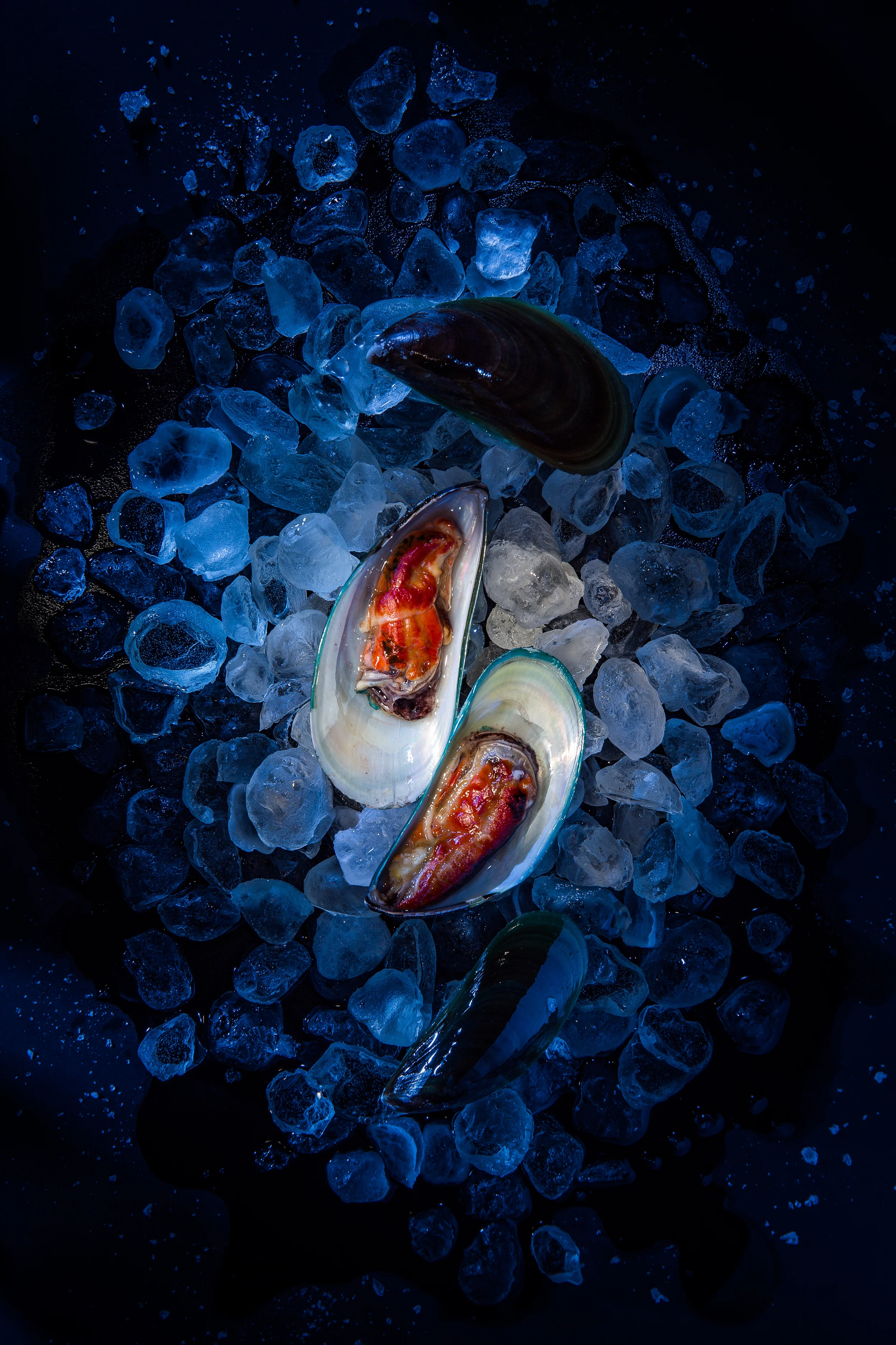 Mussels.jpg