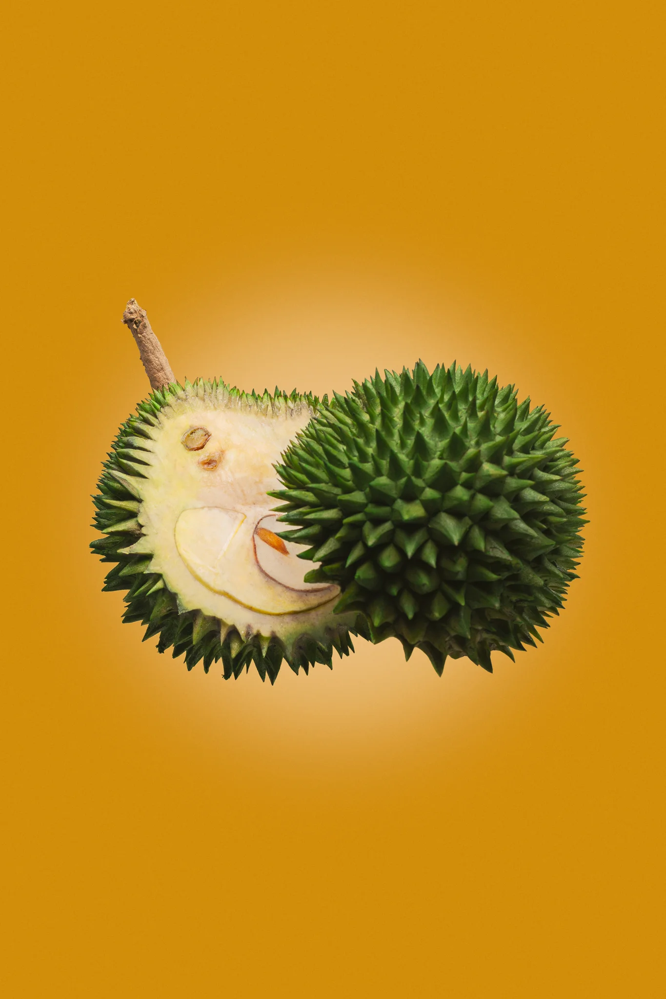 Ninja-Fruits-Durian.jpg