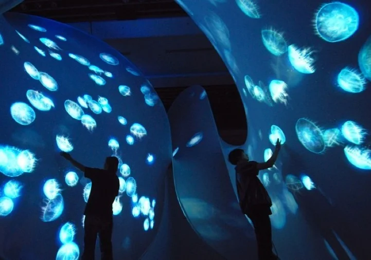 interactive projector.jpeg