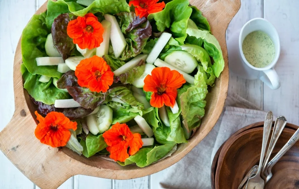 nasturtium-and-kohlrabi-salad-with-creamy-lemon-dill-dressing-12-1024x649.jpg