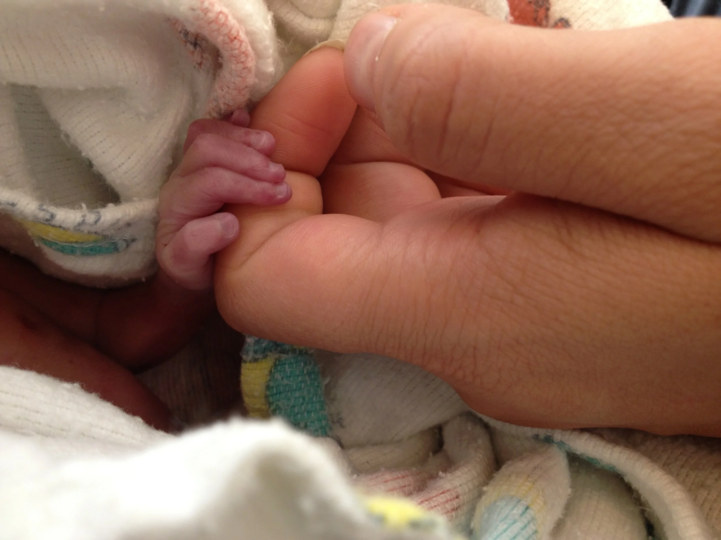 Piragash, Spreading HOPE for Leonardo