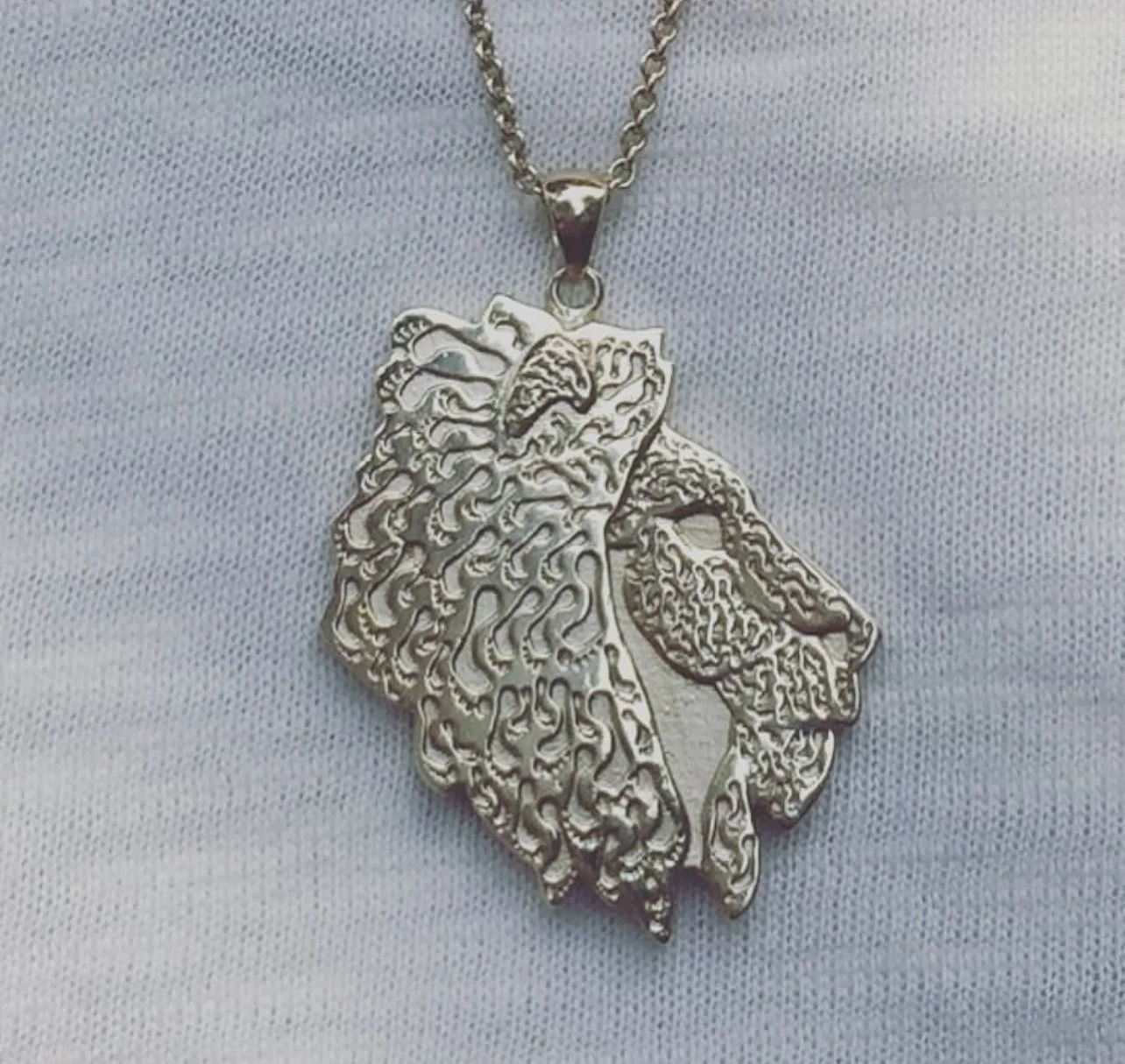 Mike, Spreading HOPE for Leo