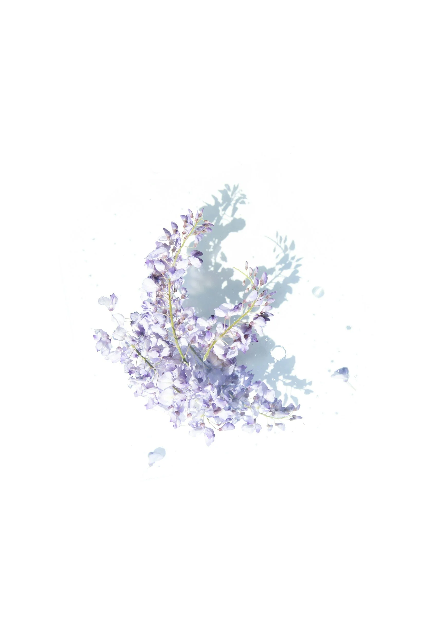 To Calm Your Nerves, Little Love by Elizabeth Neal