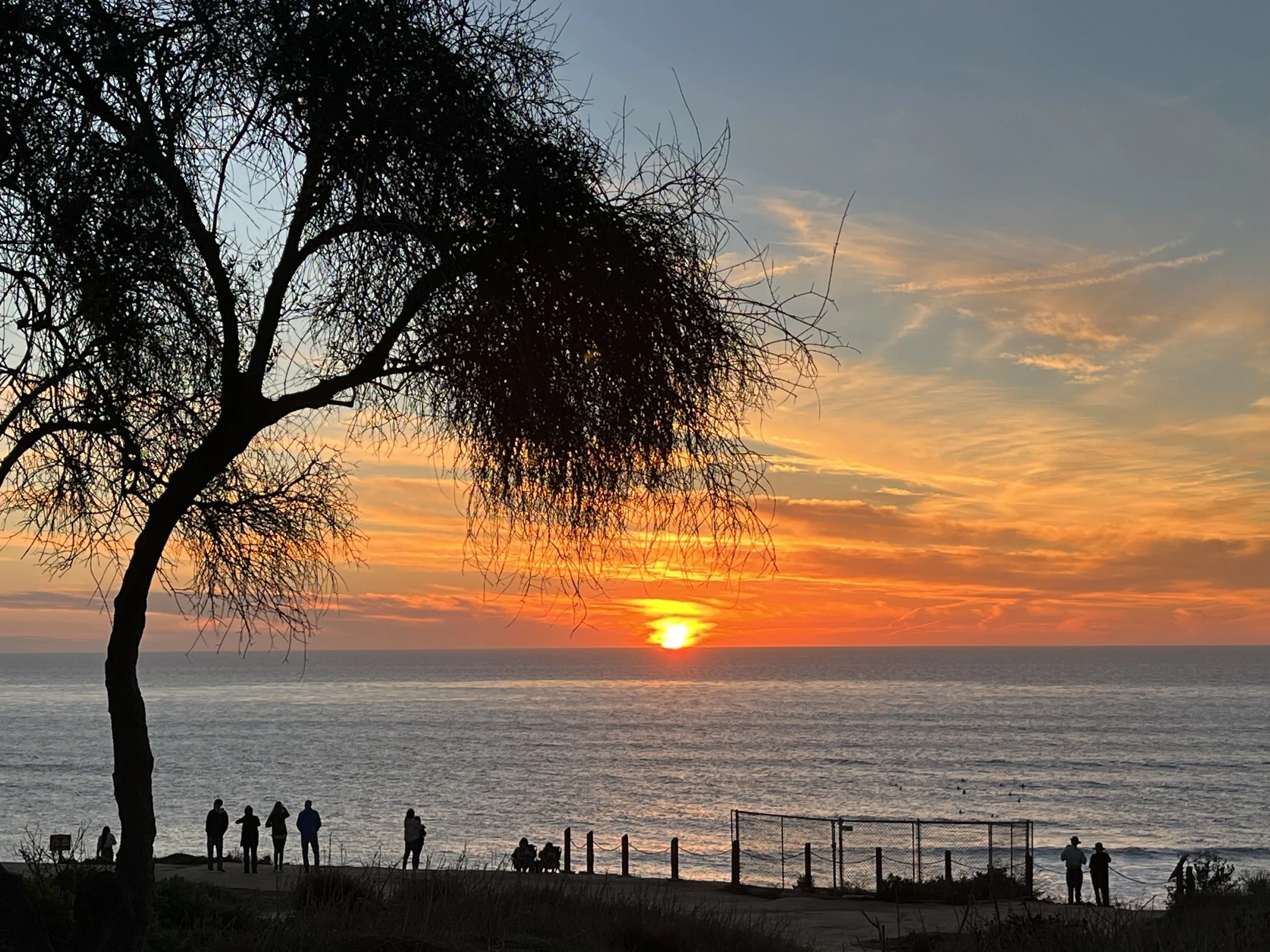 Carolyn, Spreading HOPE for Niko Louis