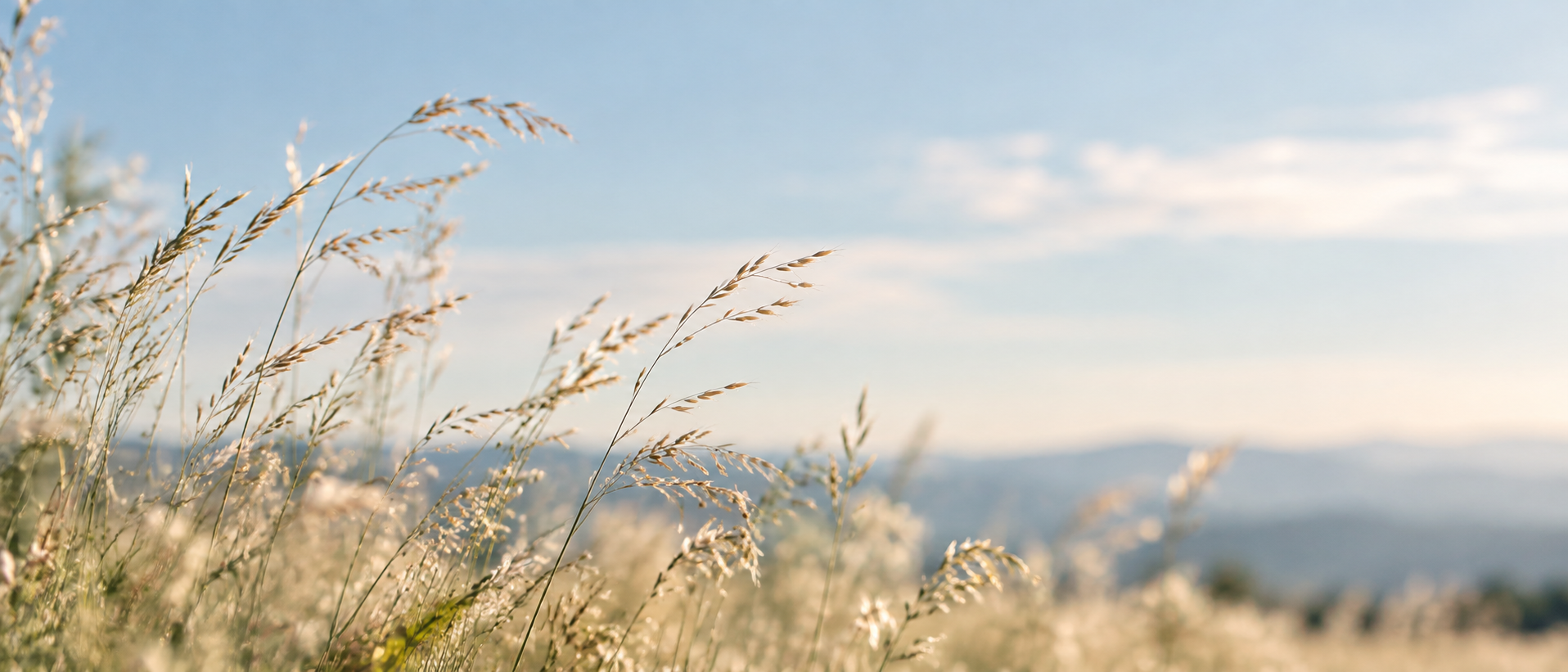 Understanding Pregnancy and Infant Loss