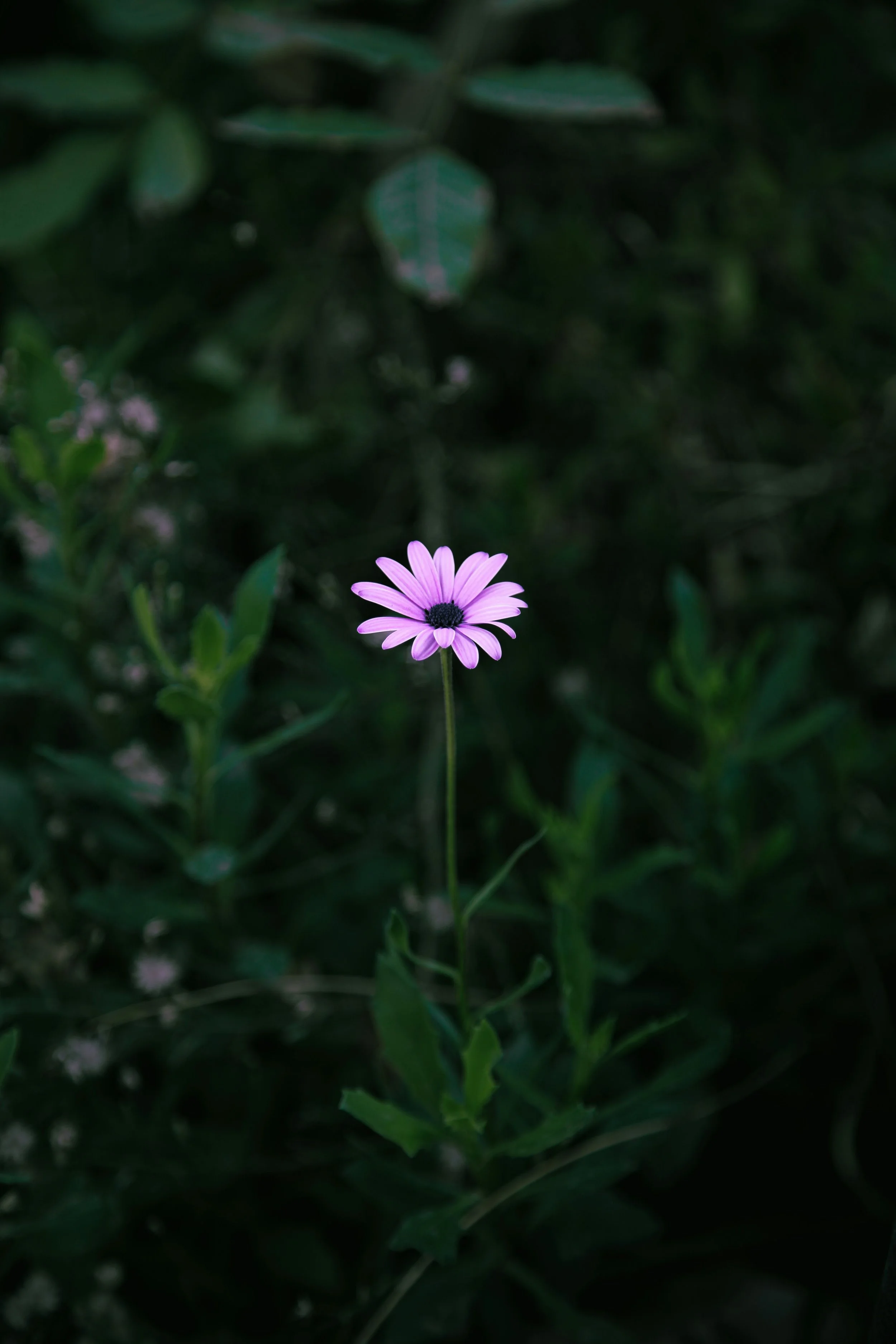 Medically Complex Infant Death Support Group (July 26-August 30)