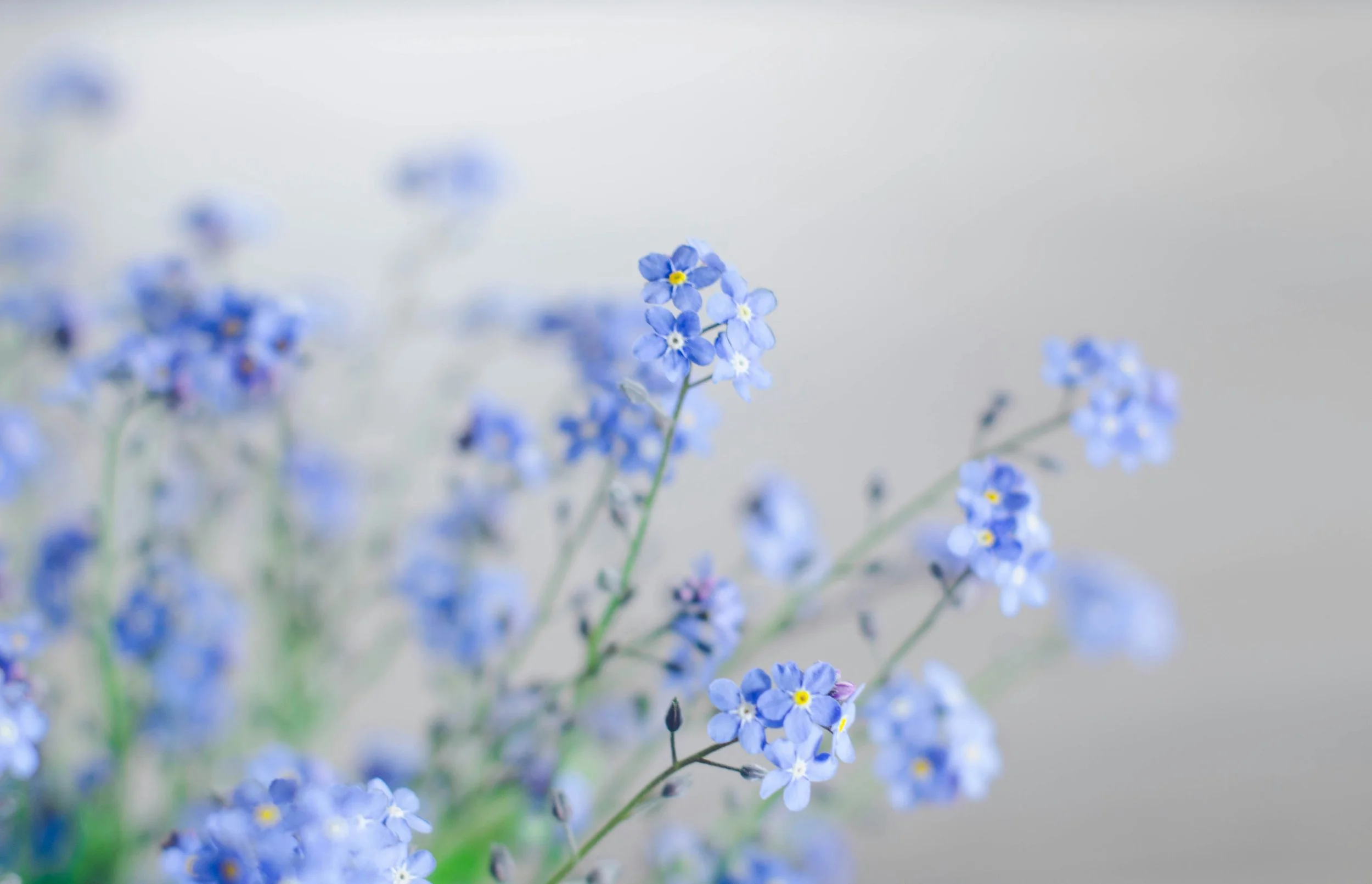 Recurrent Loss & Infertility Support Group (Tuesdays, August 4-September 8)