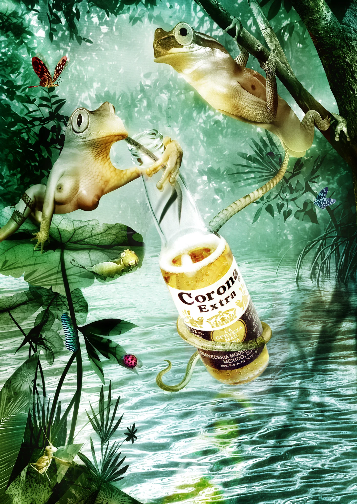Corona - Frogs