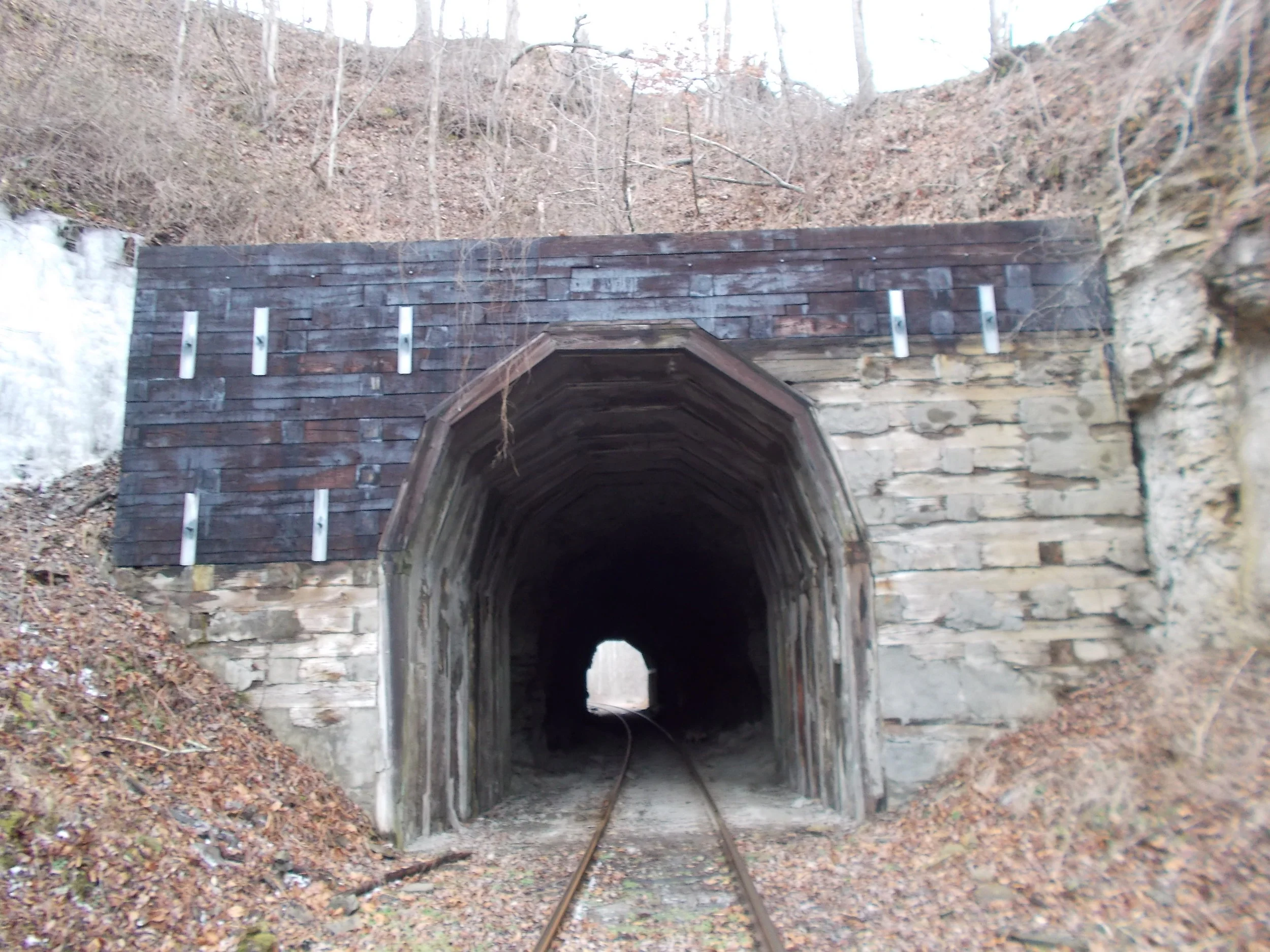  Richland Furnace area RR tunnel. Still in use. Hand hewn with timber at both ends. Must park on dead end to walk here. Totally worth it. 