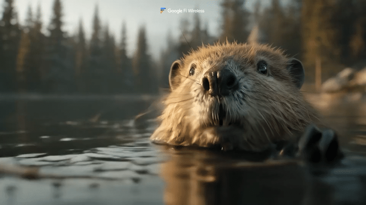 Google Fi _Beaver_-high (1).gif