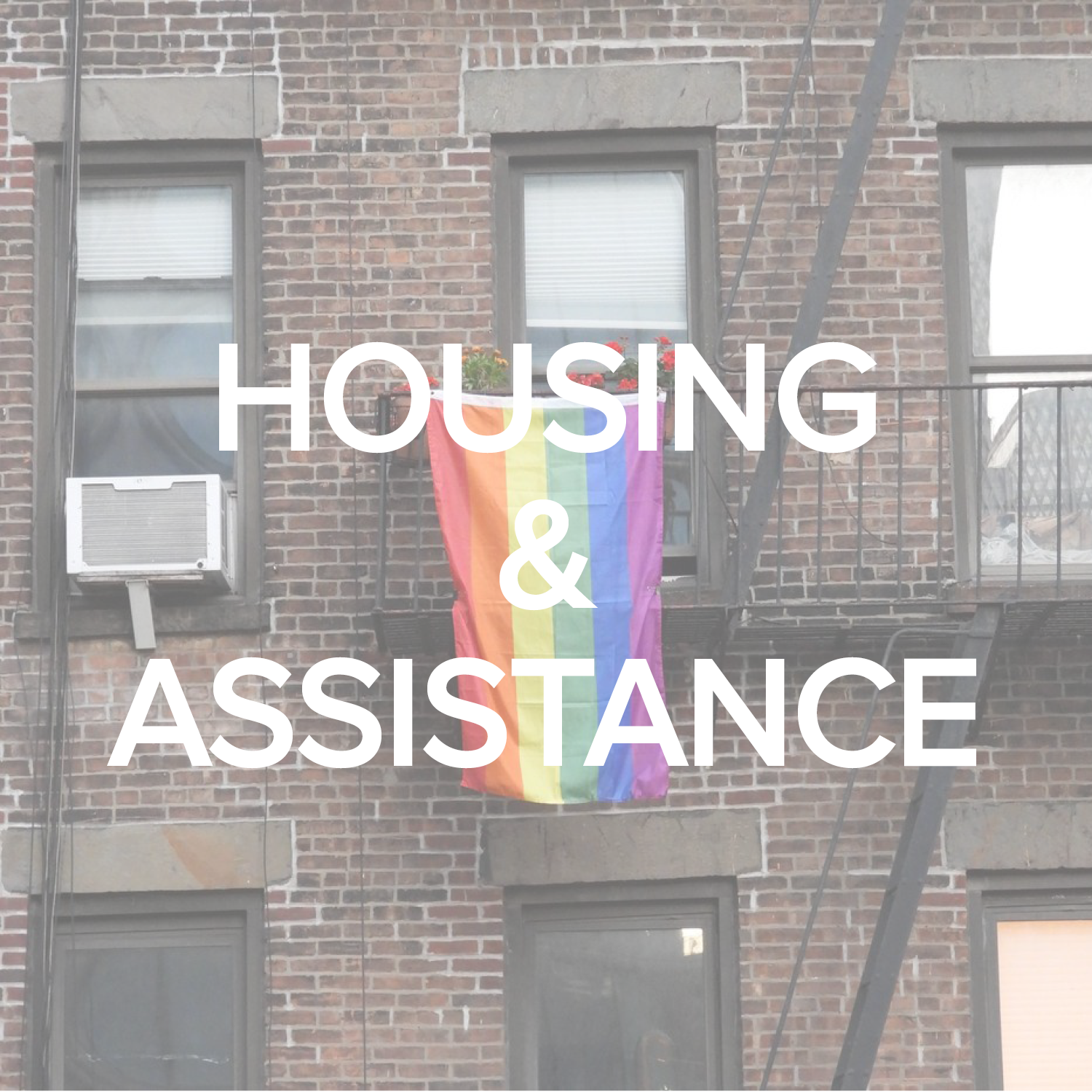 Housing & Assistance ICON.png