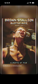 Brown Stallion // Blotter Boys 