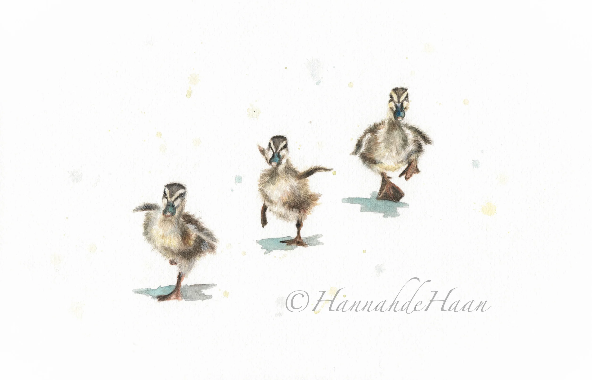 DUCKLINGS Martin (1).jpg