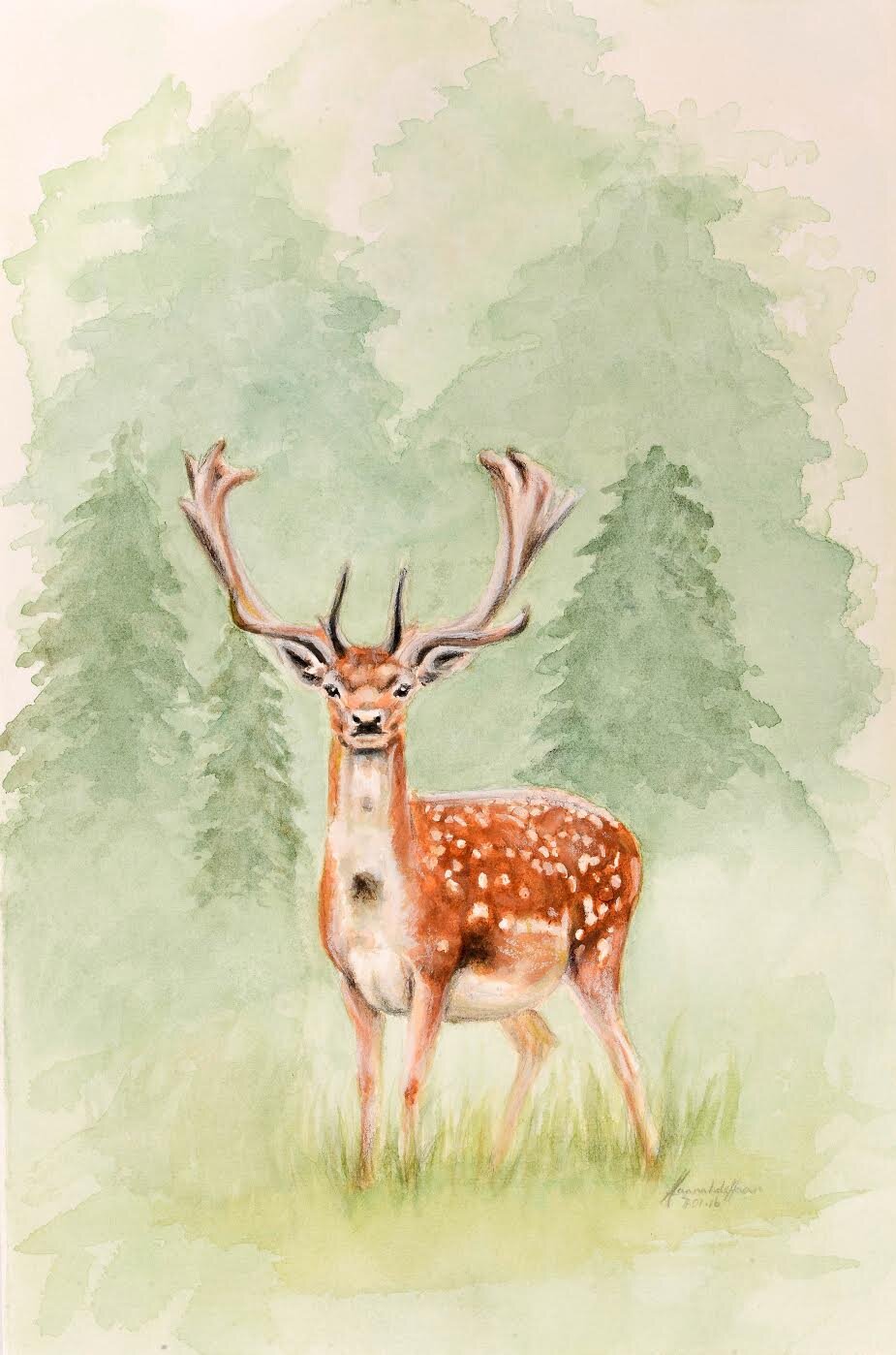 Fallow Stag