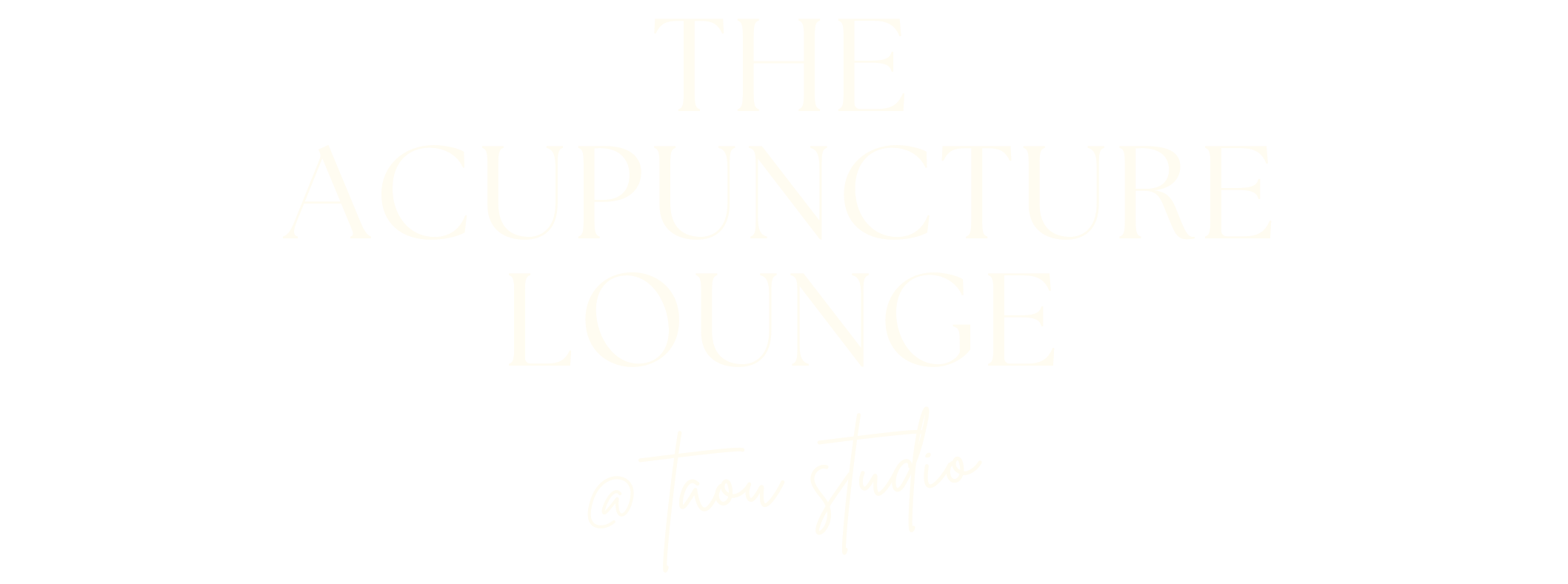 The Acupuncture Lounge Richmond VA — Vitality