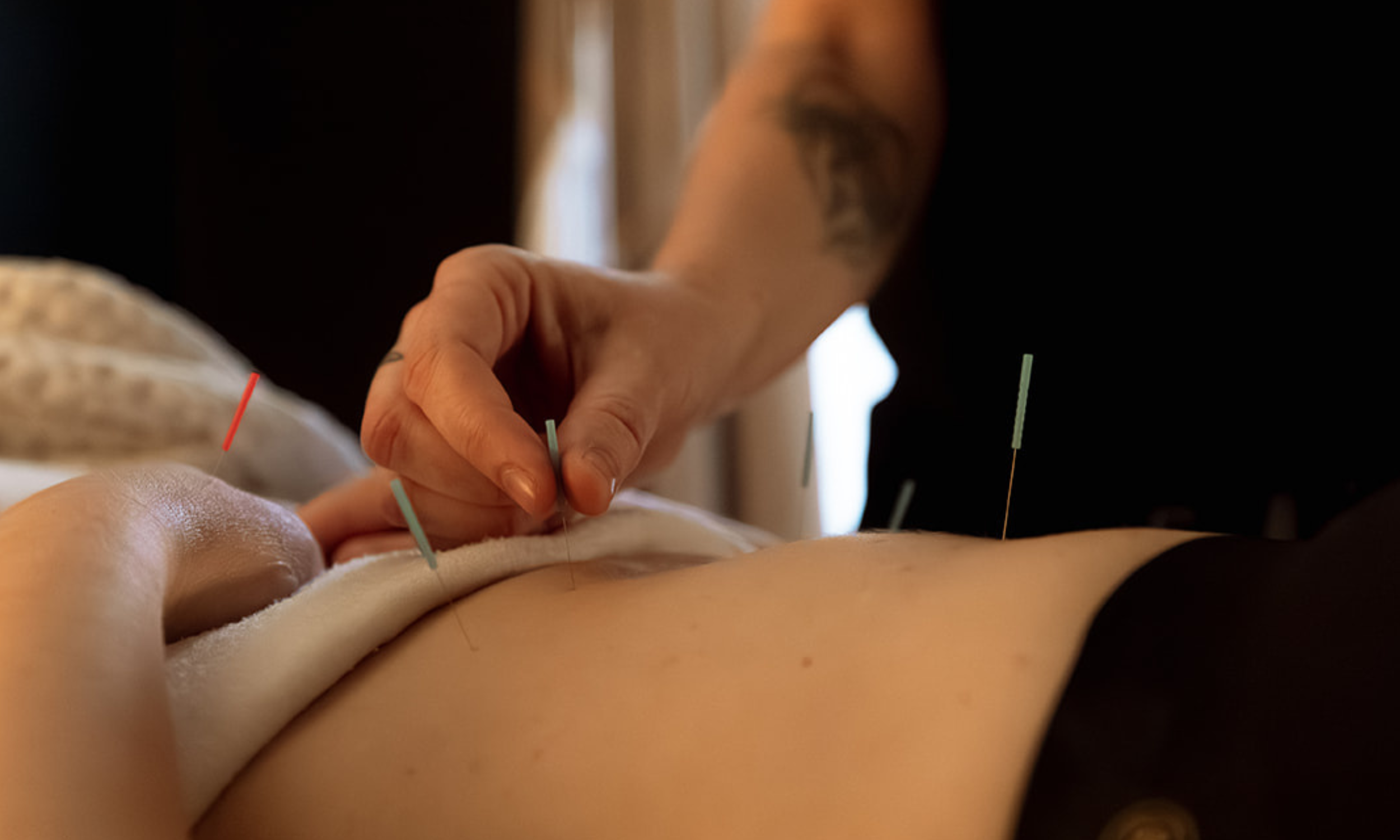 Squarespace Banner (3).png