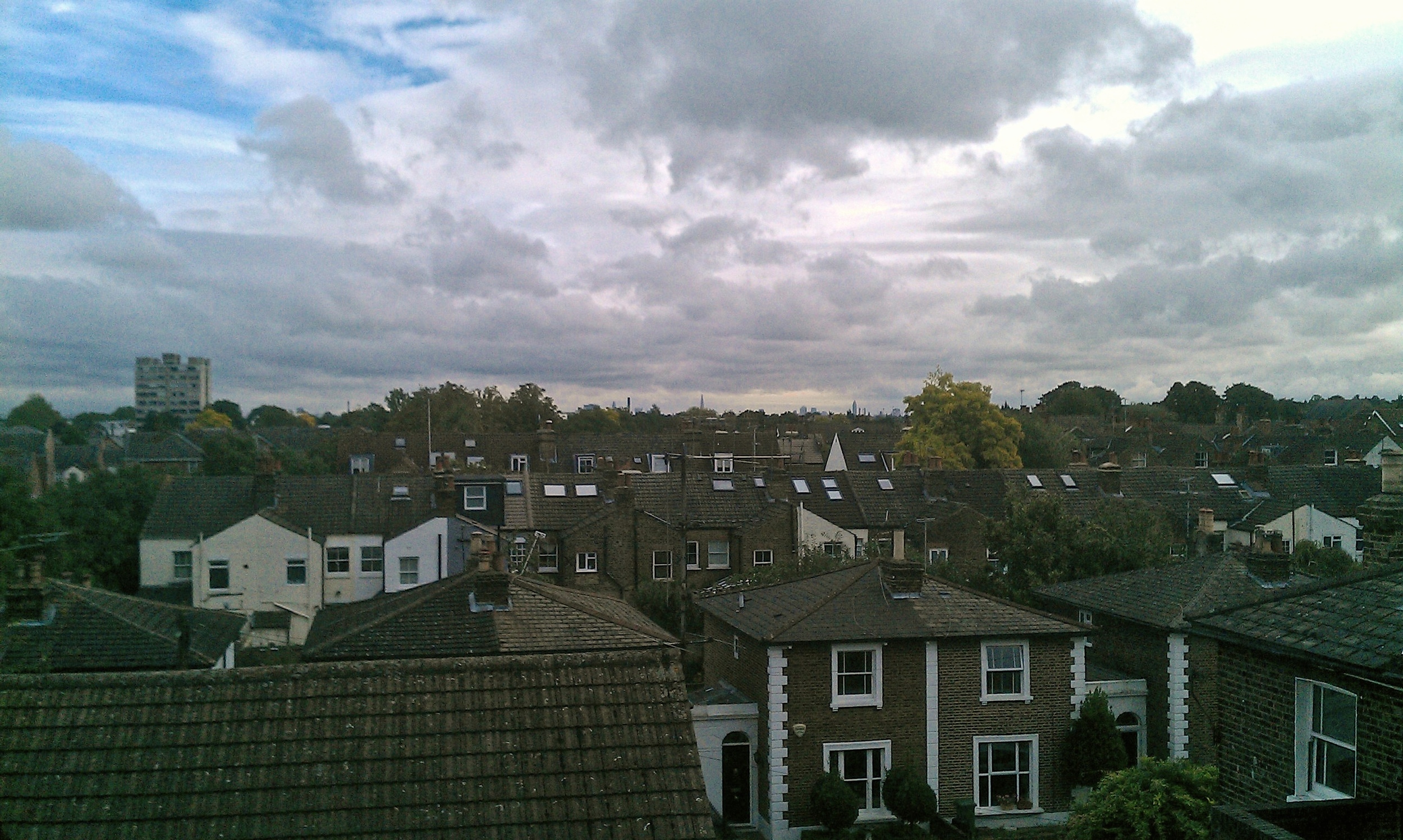 View from the scaffold
