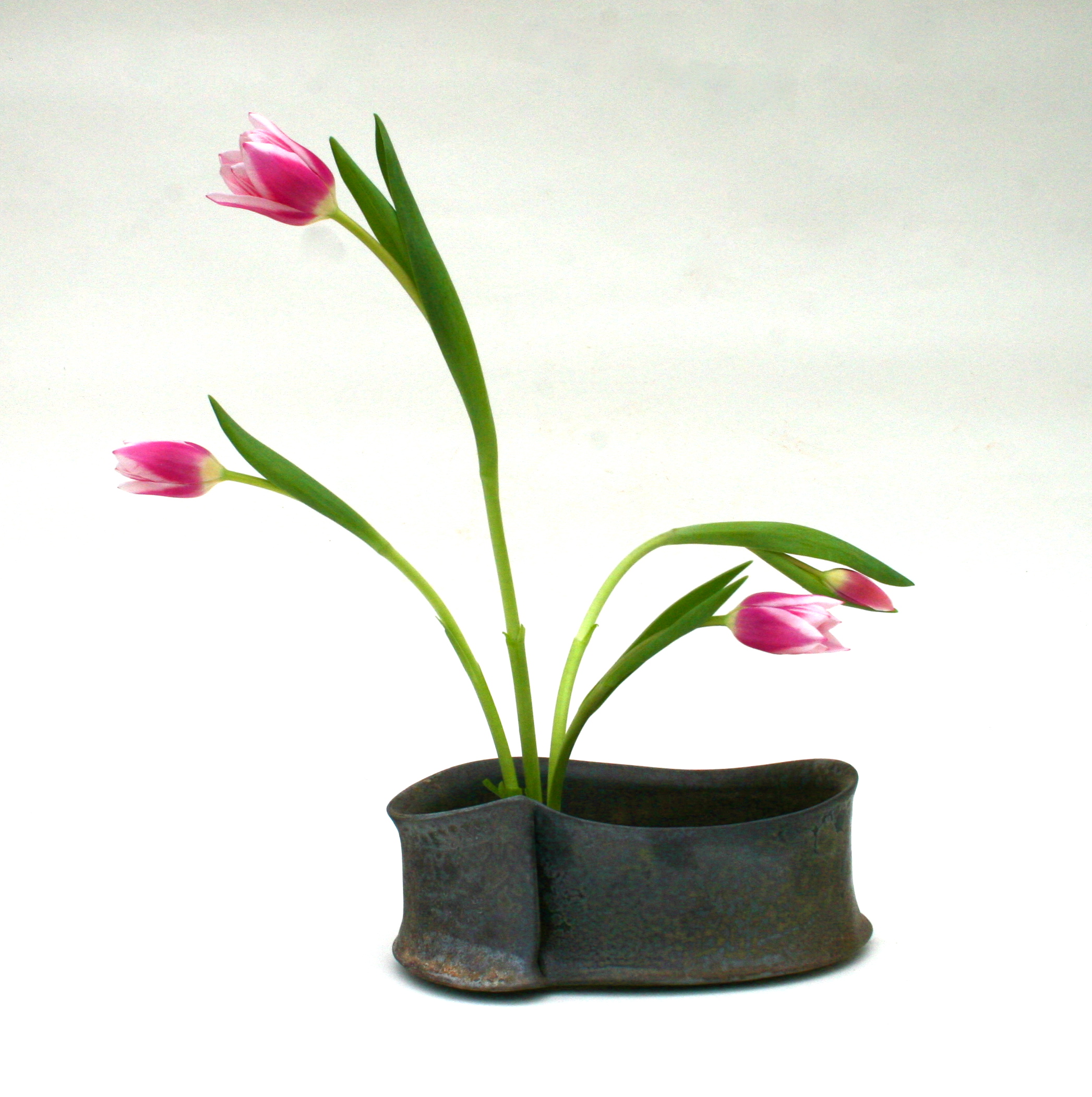 vase with tulips.JPG